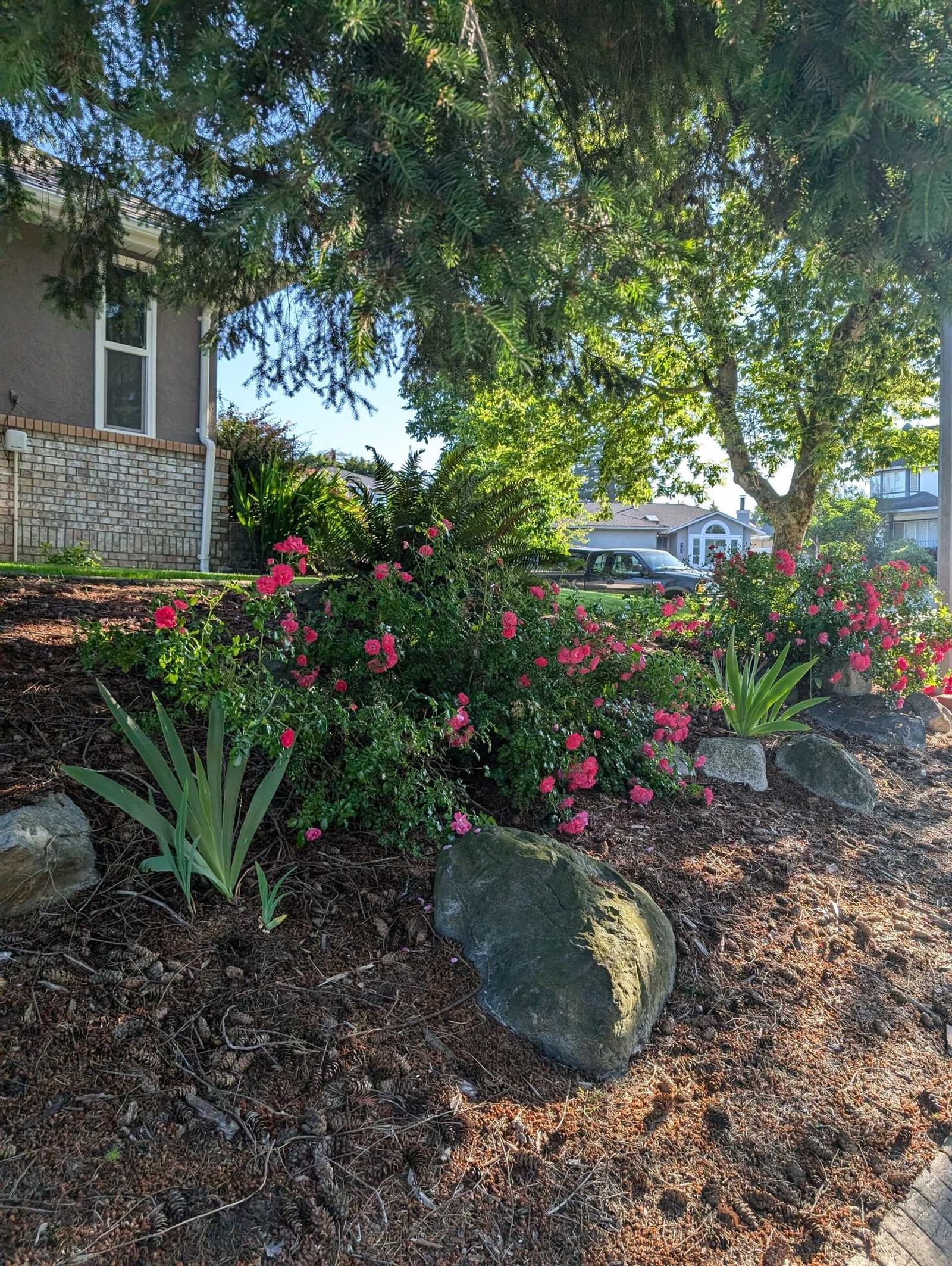 Listing Image 20