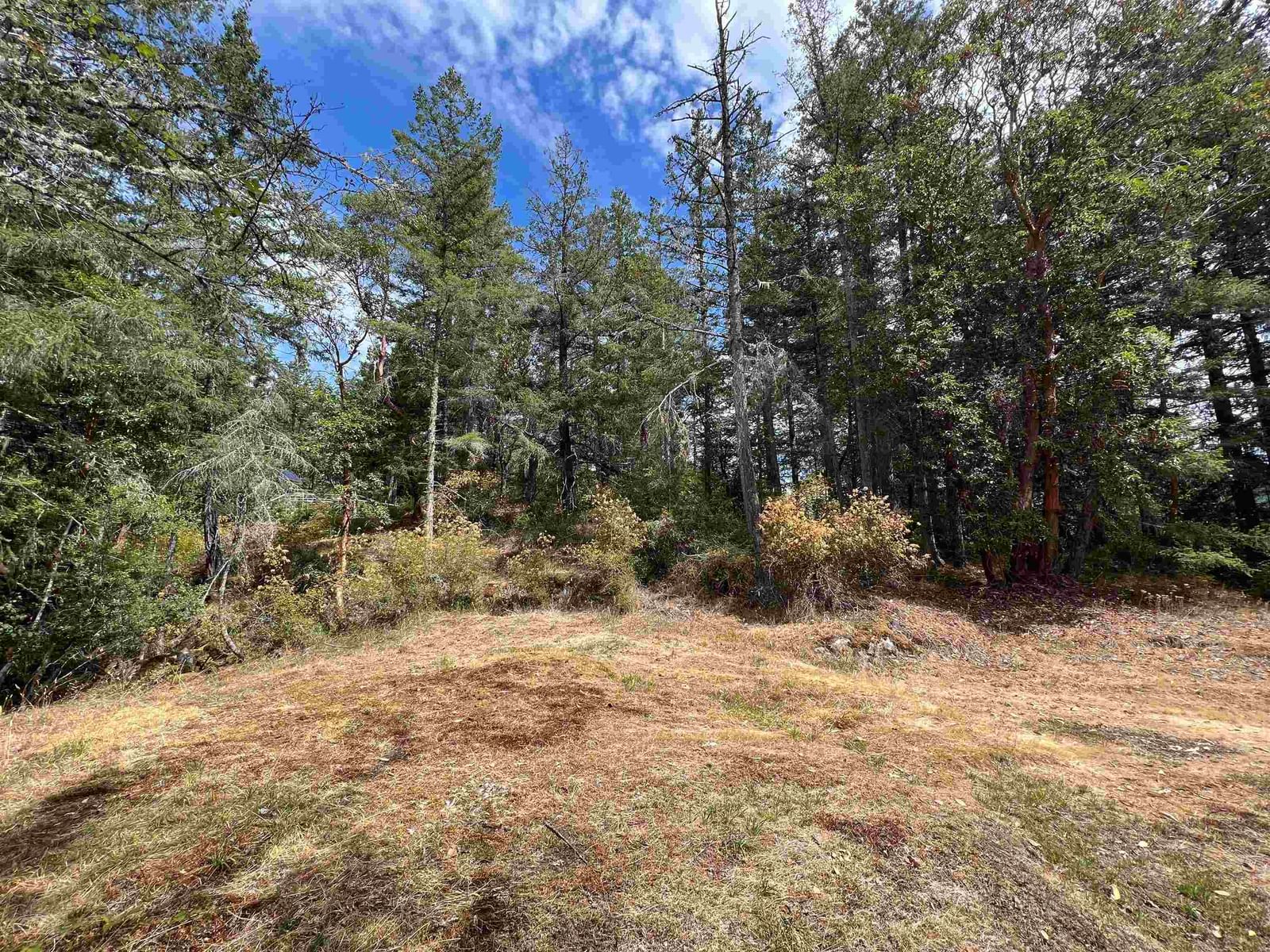 Listing Image 18