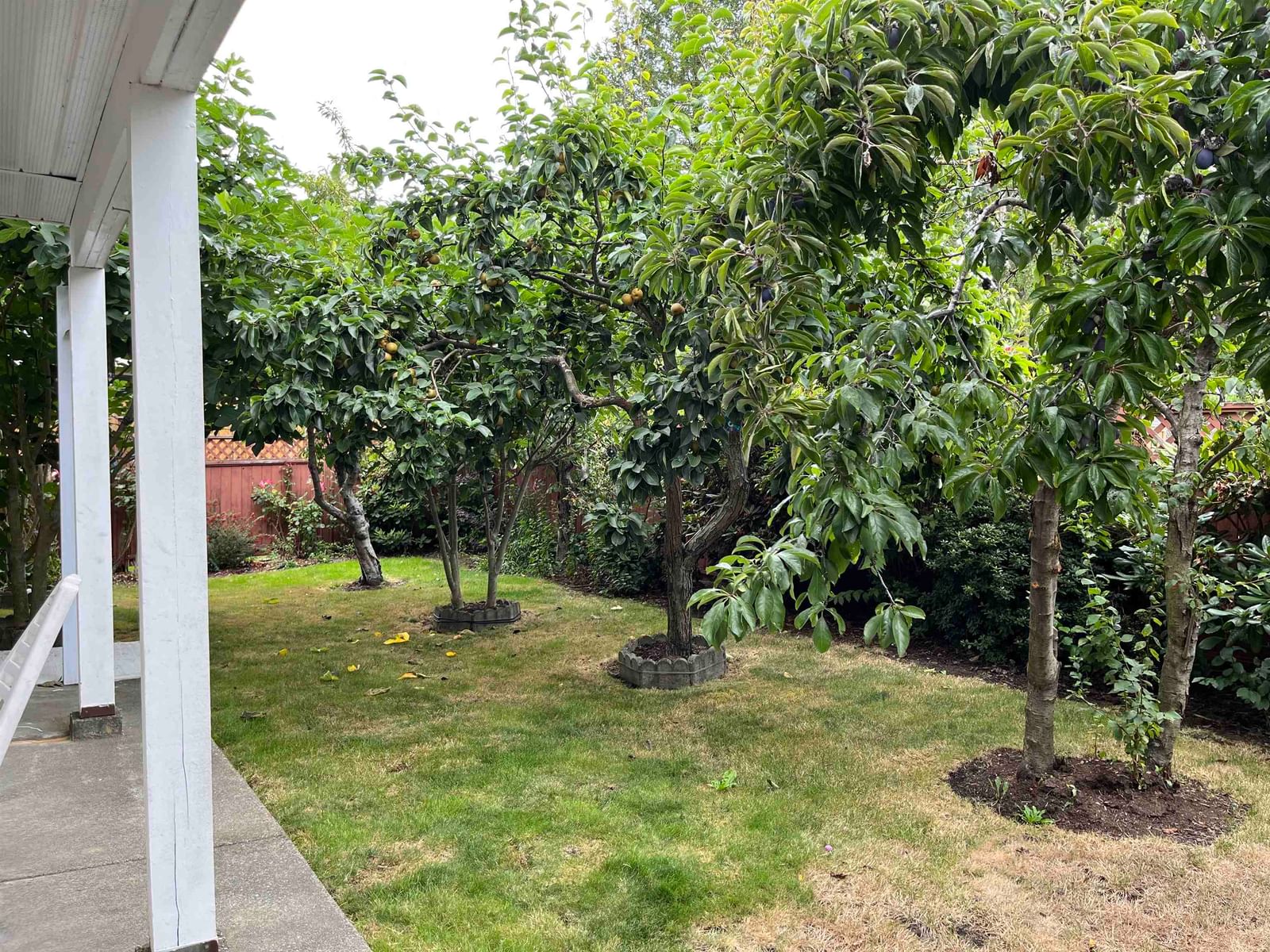 Listing Image 21