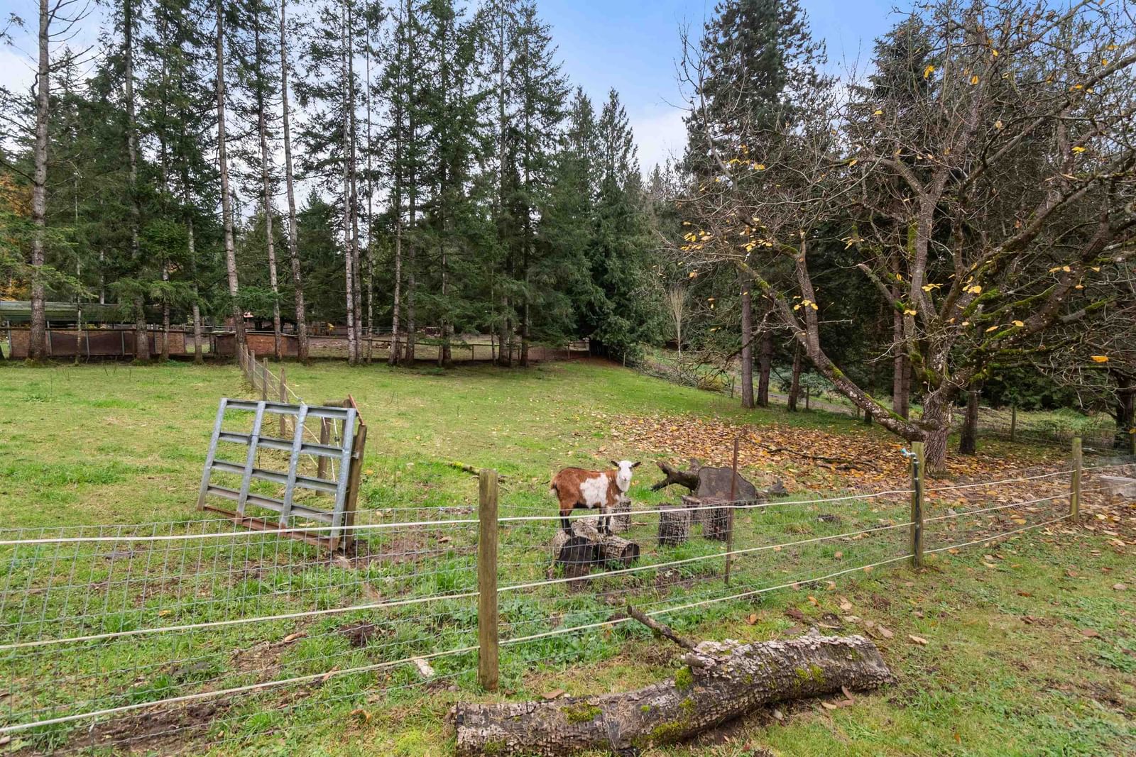 Listing Image 34