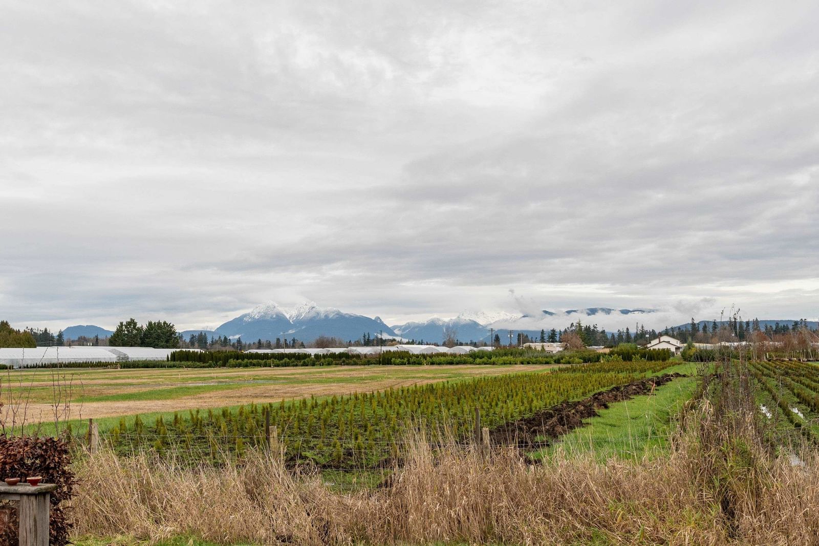 Listing Image 34