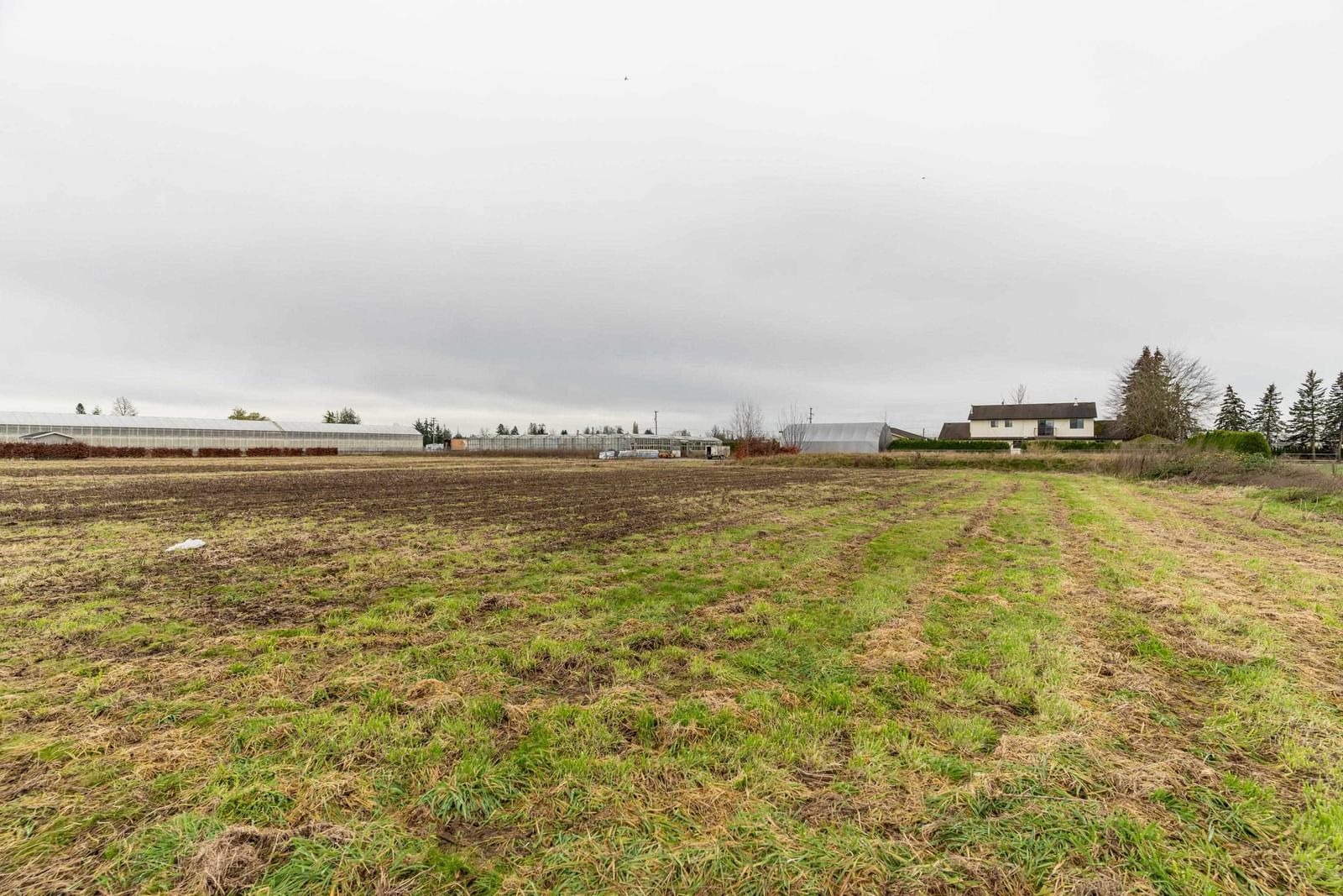 Listing Image 39