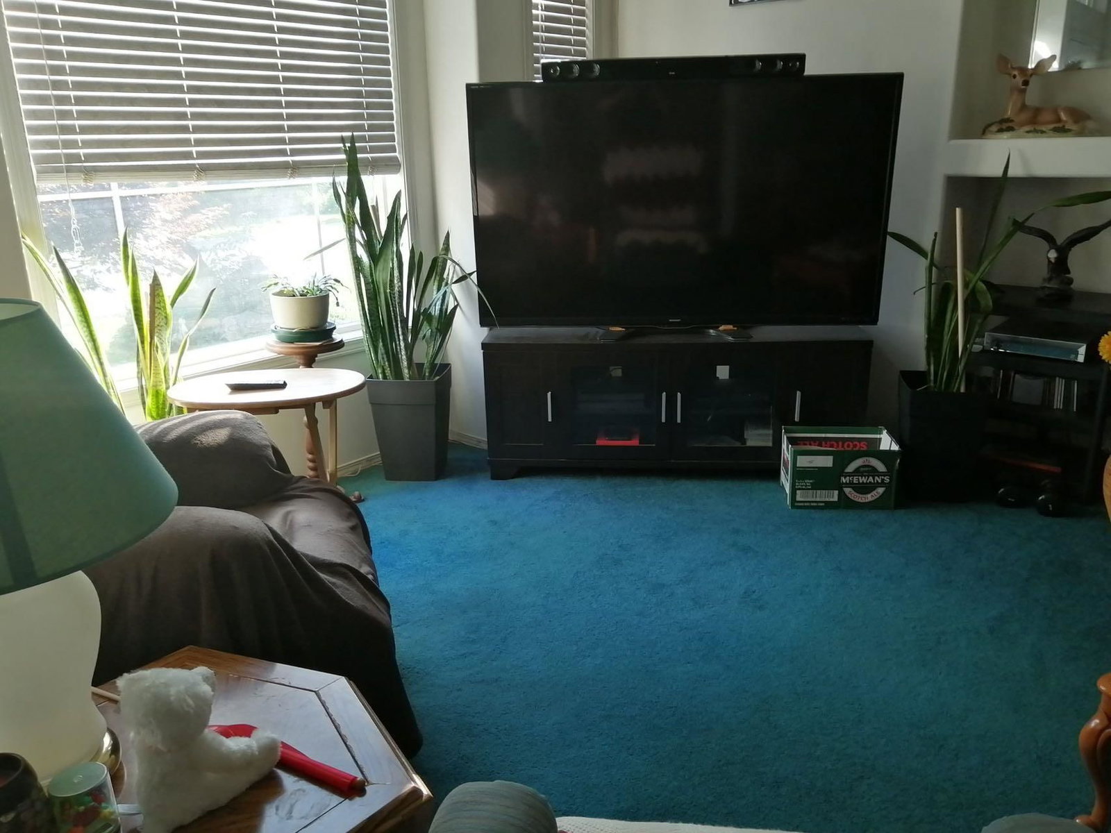 Listing Image 12