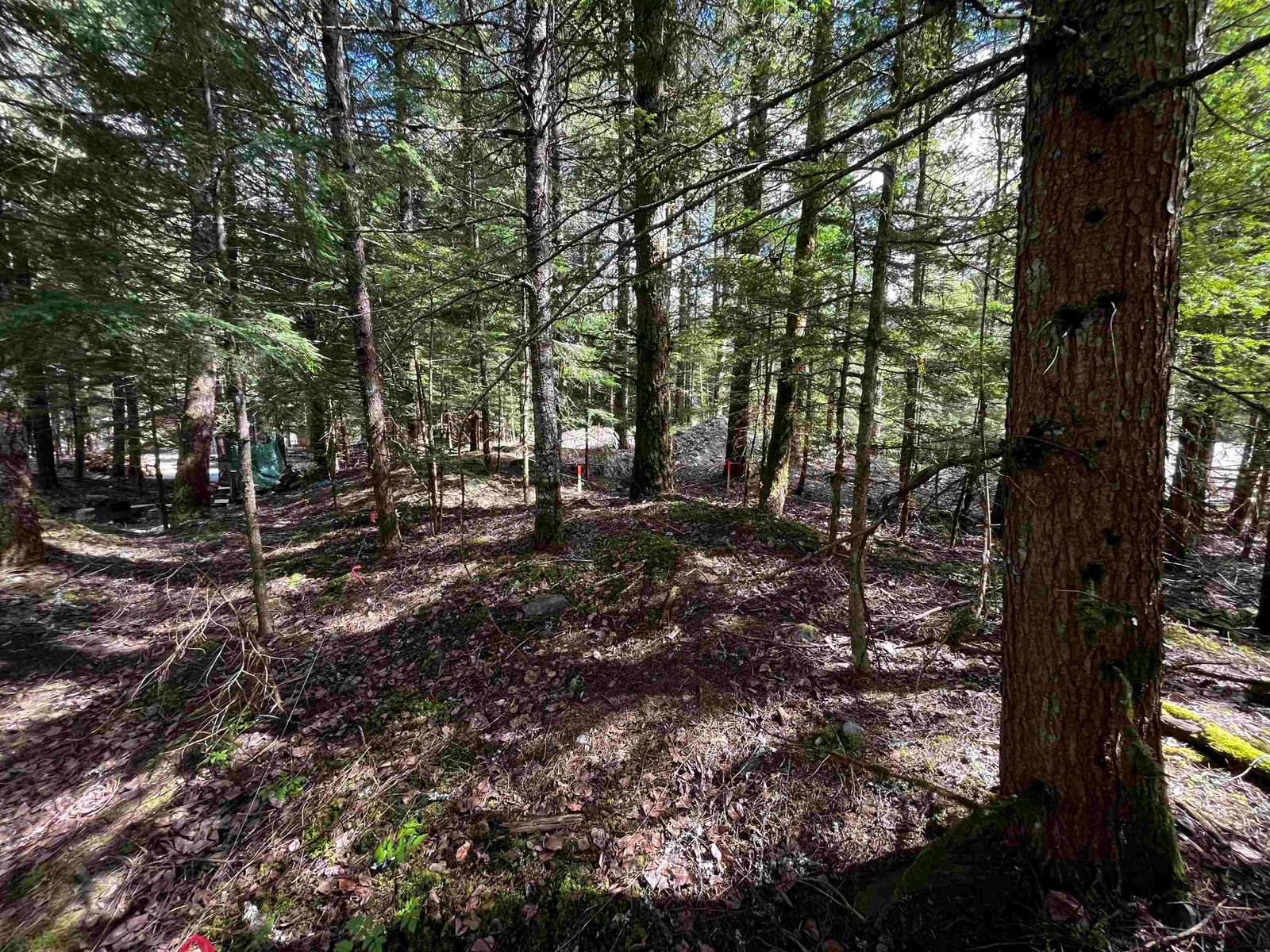 Listing Image 8