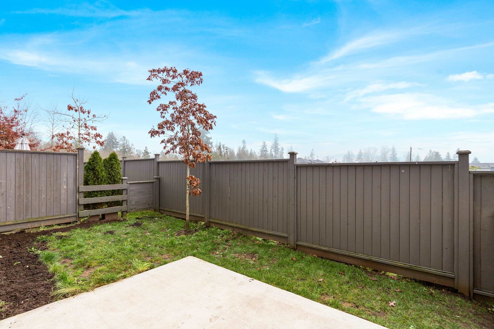 Listing Image 24
