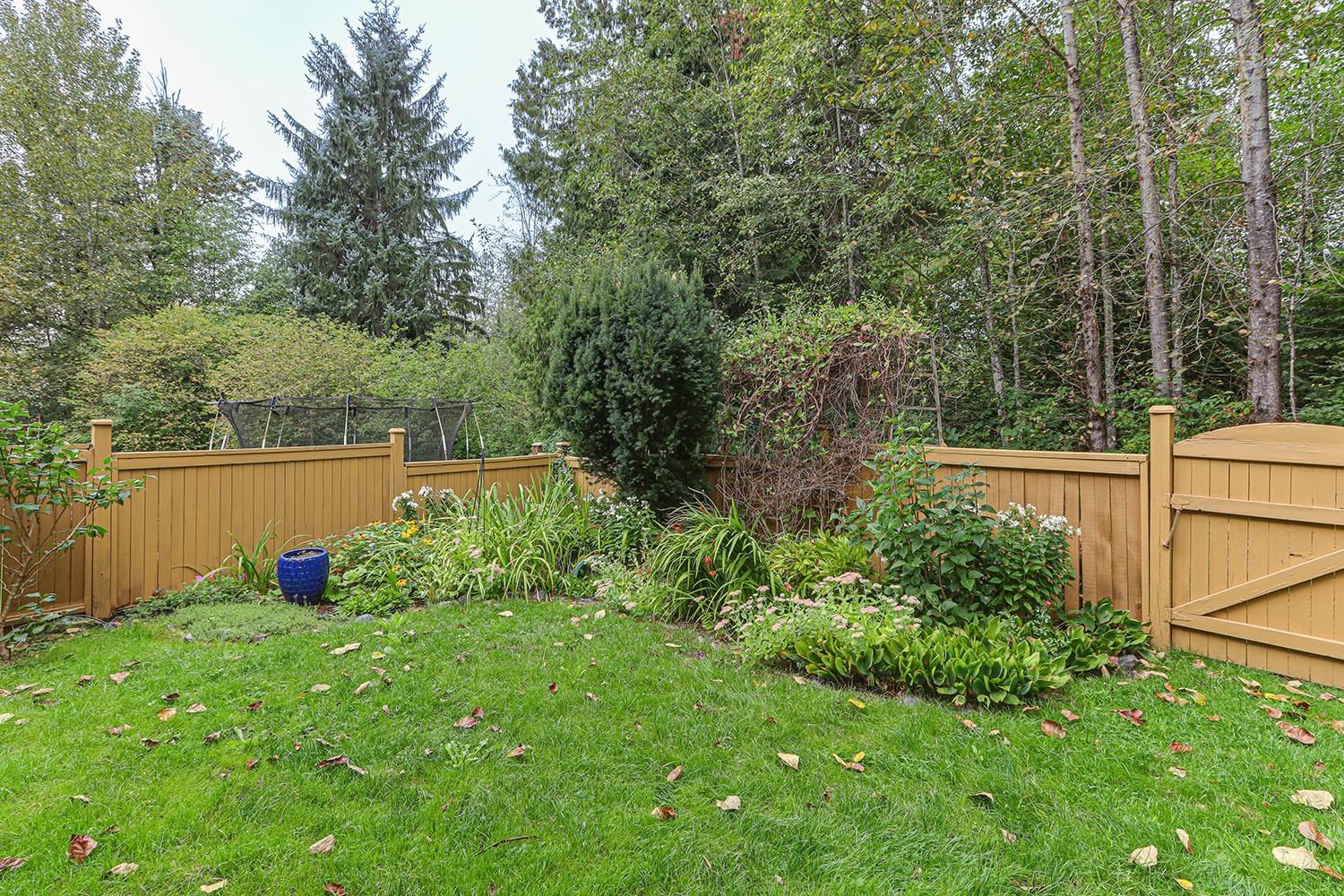 Listing Image 34