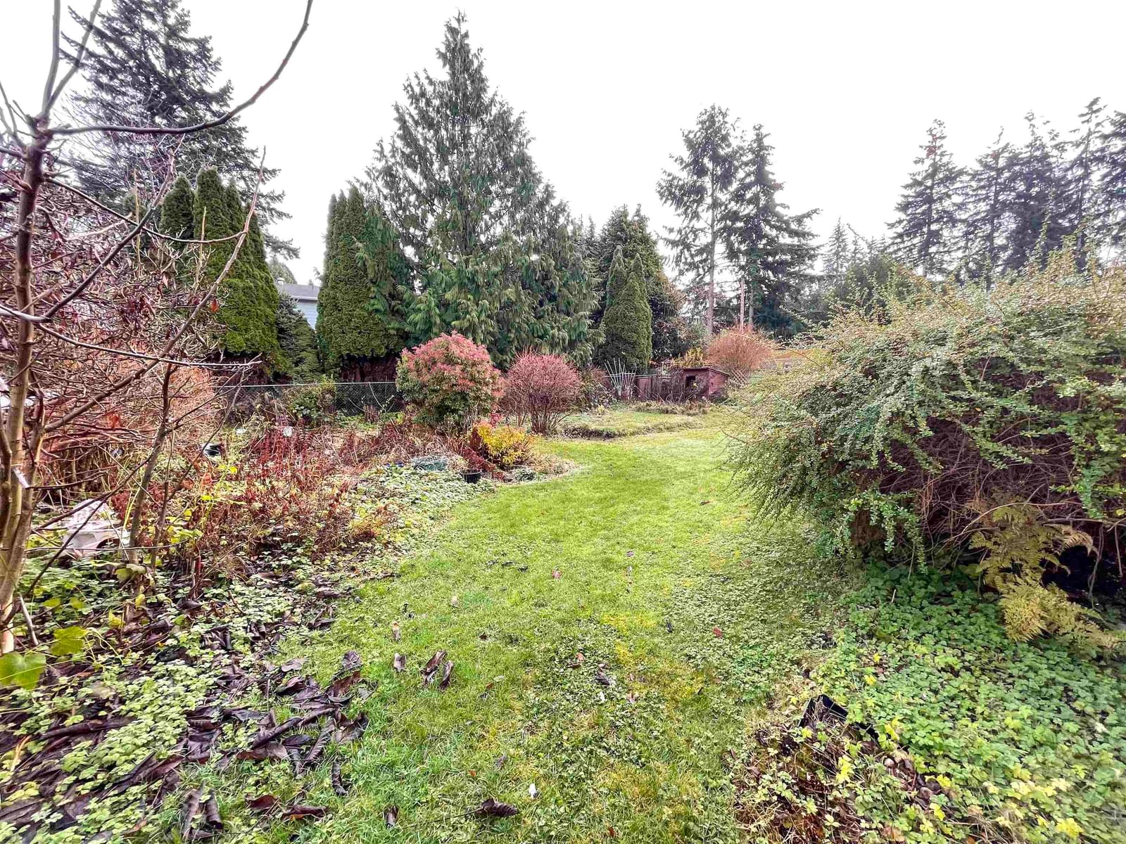 Listing Image 31