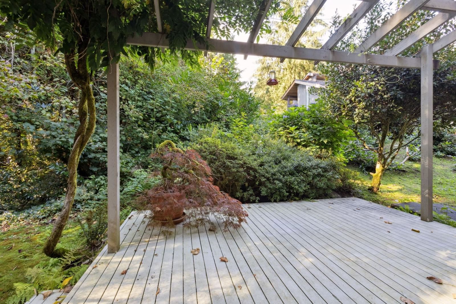 Listing Image 33