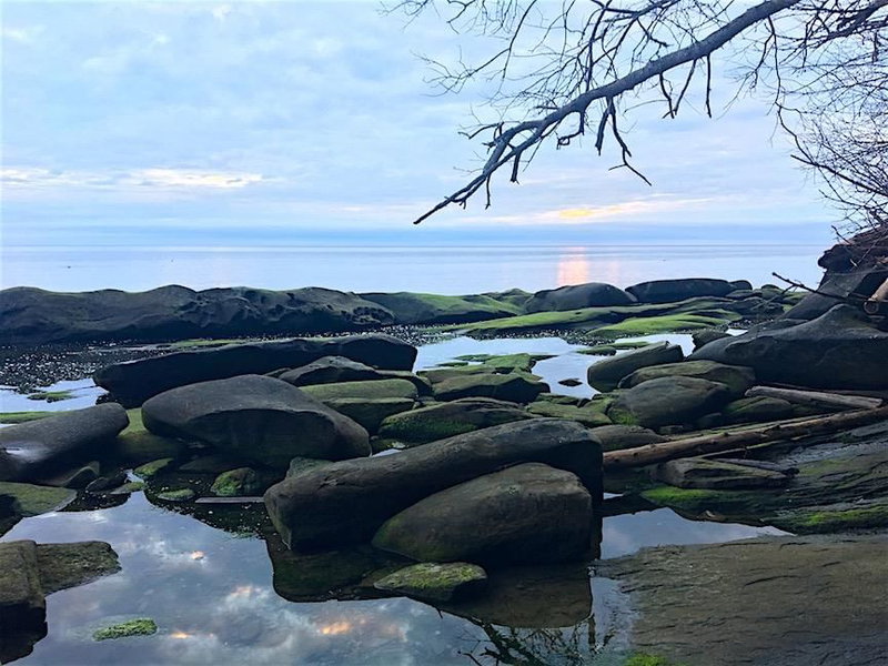 Lot 2 Bodega Beach Drive, Galiano Island, V0N 1P0 | Image 3