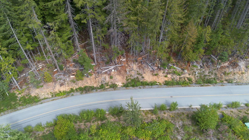 8566 Ashleigh Mcivor Drive, Whistler, V8E 1L9 | Image 2