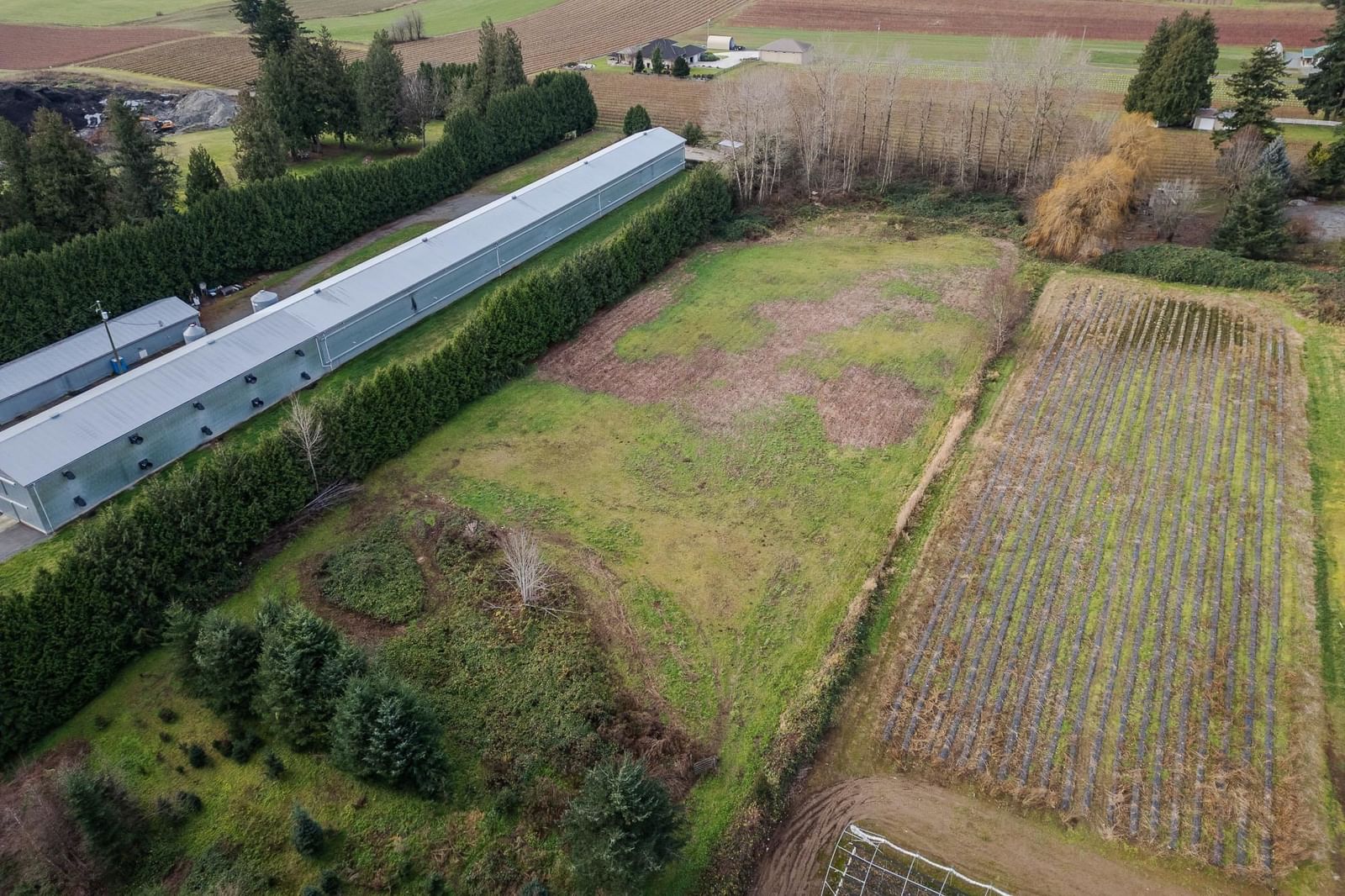 Listing Image 11