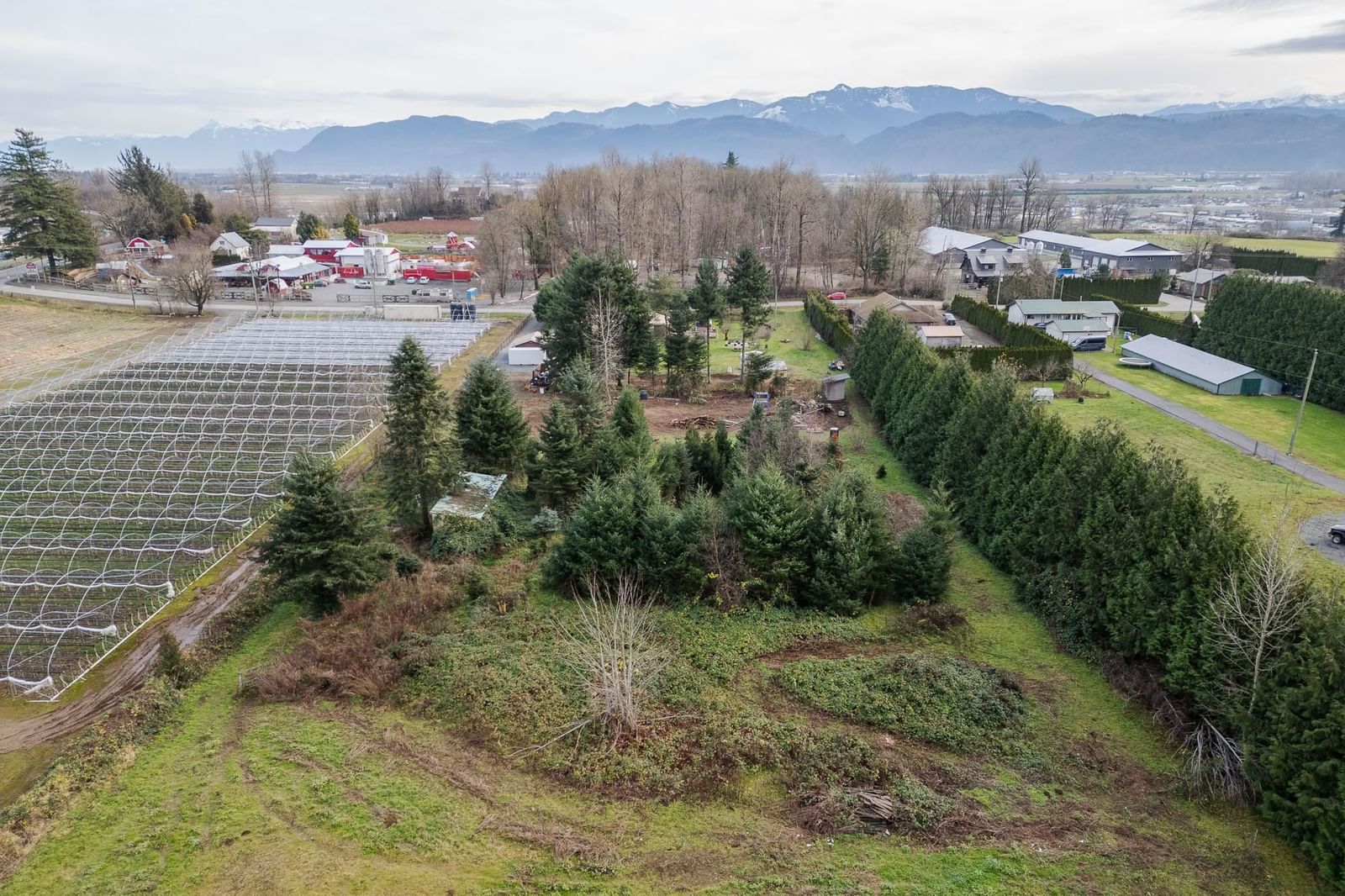 Listing Image 15