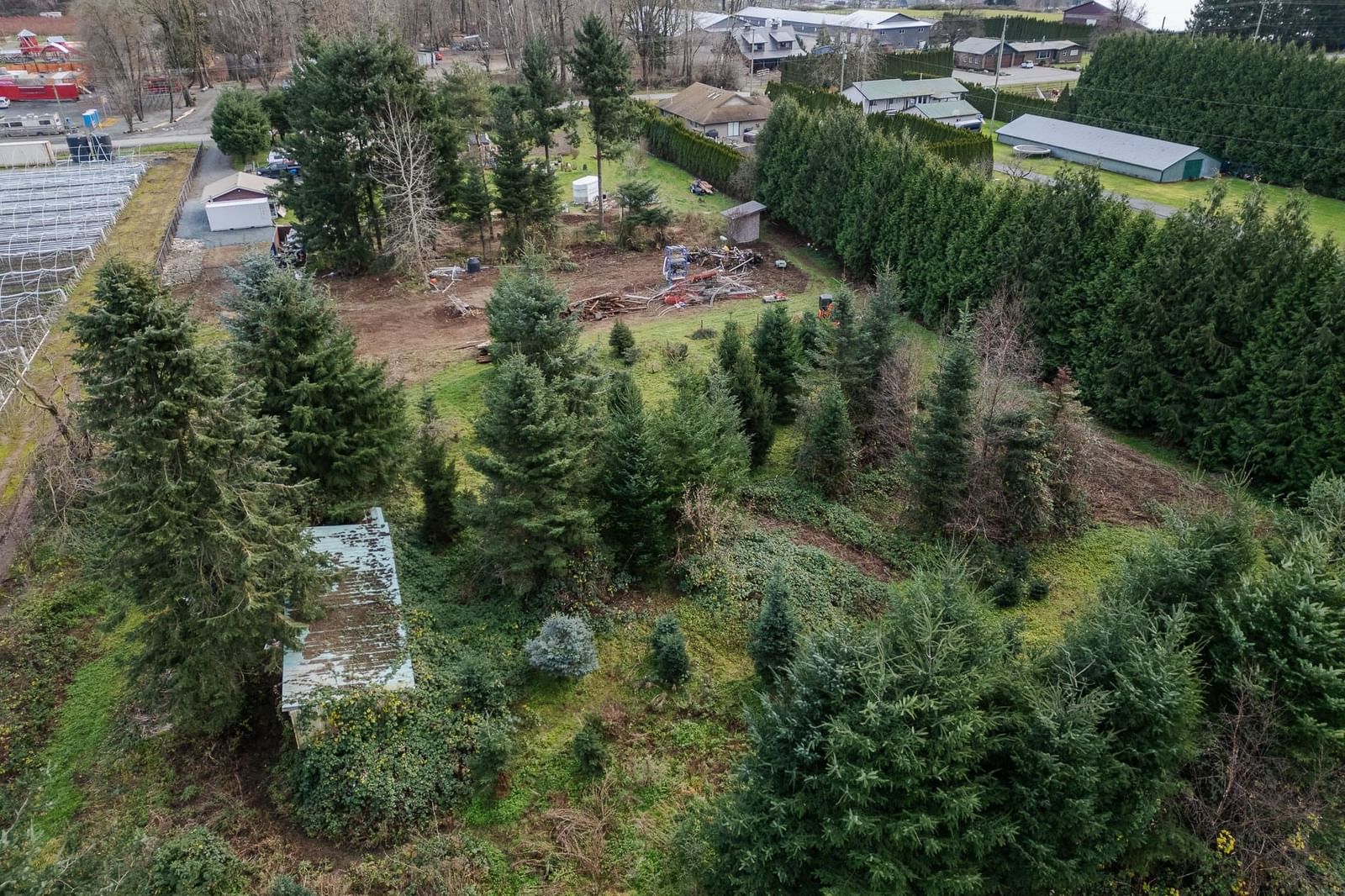 Listing Image 18