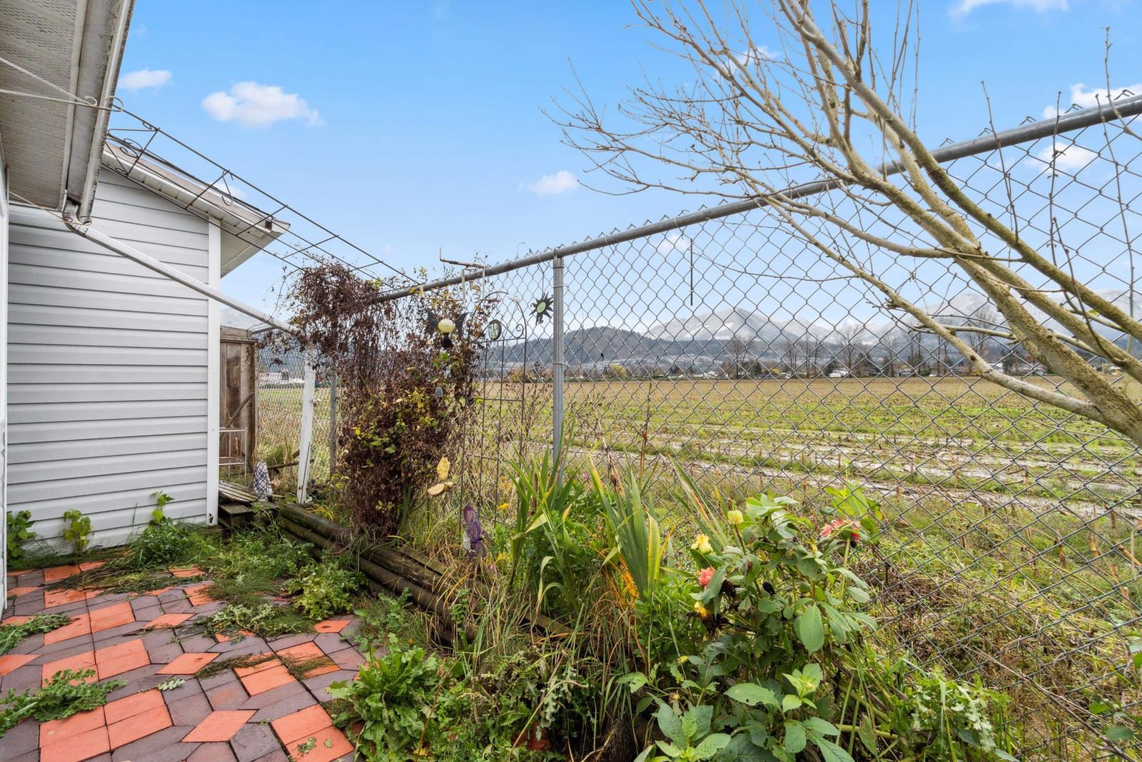 Listing Image 18