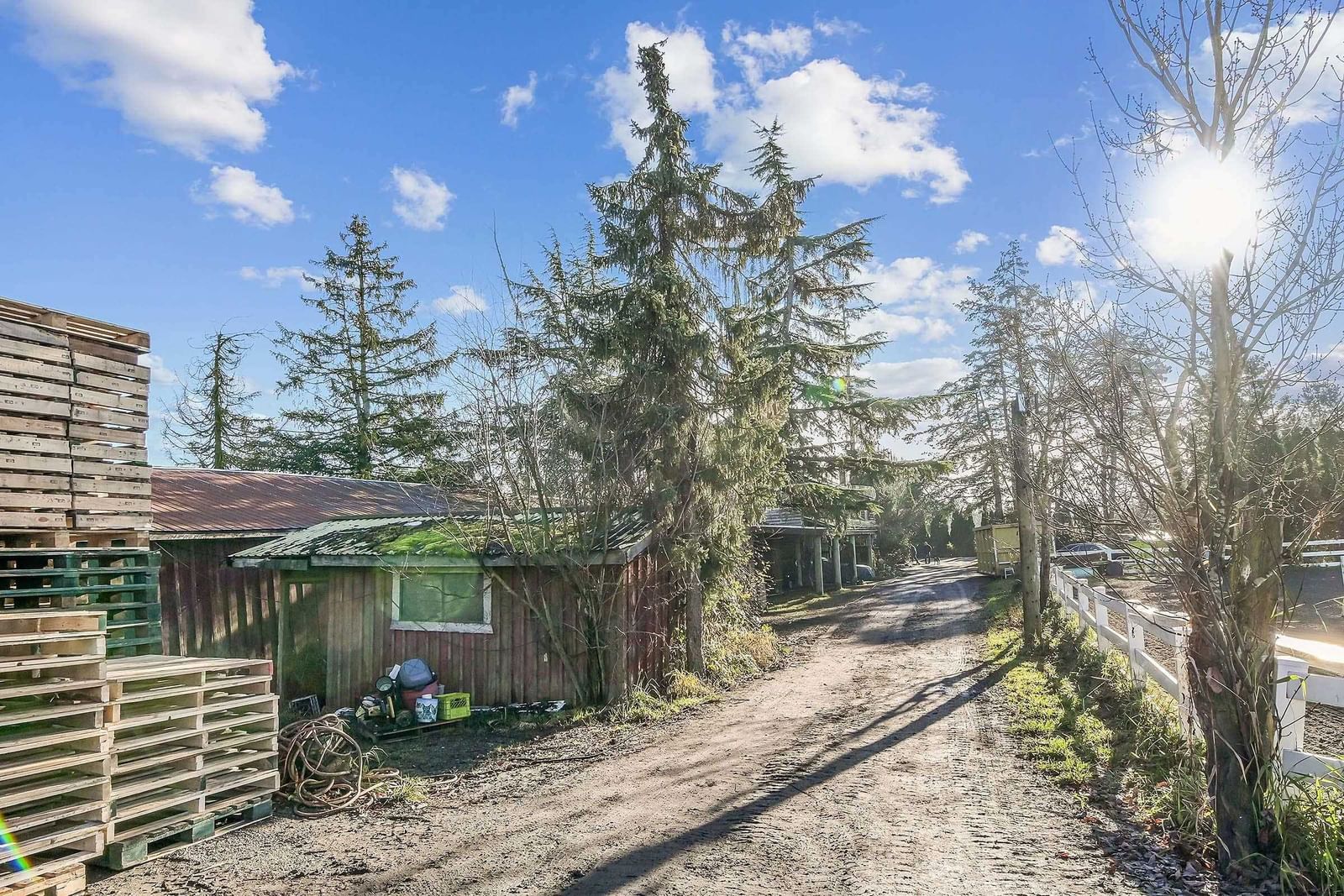 Listing Image 16