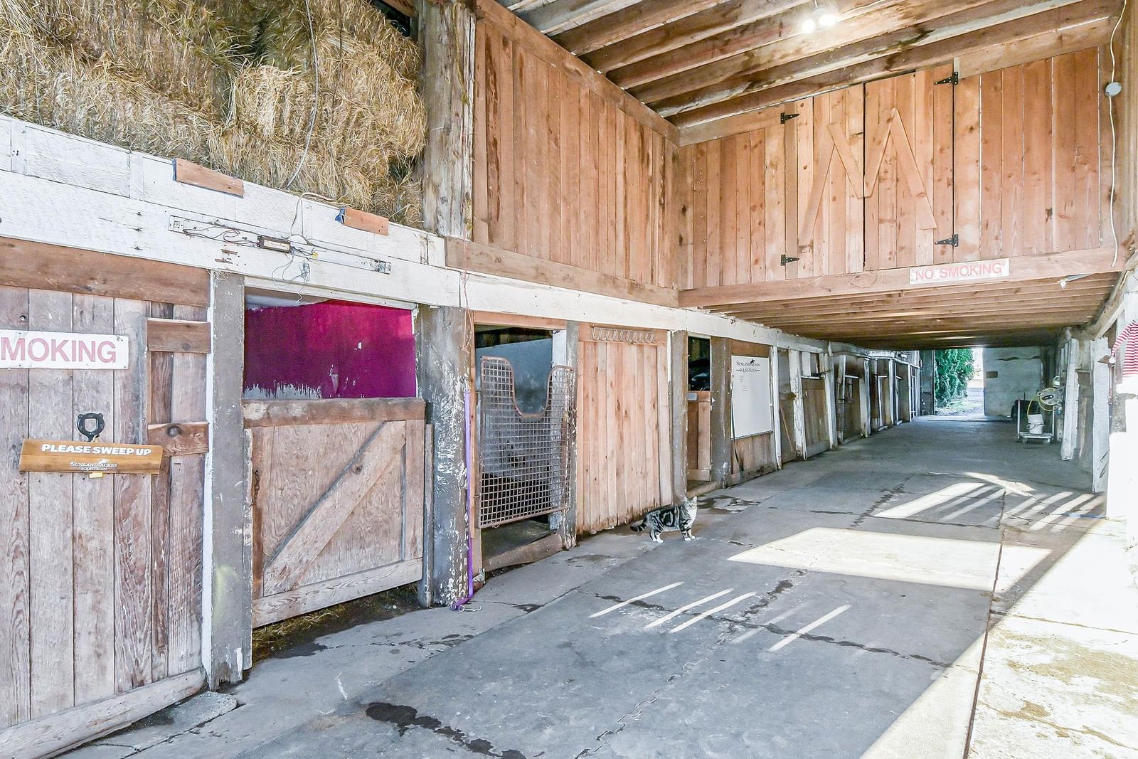 Listing Image 23