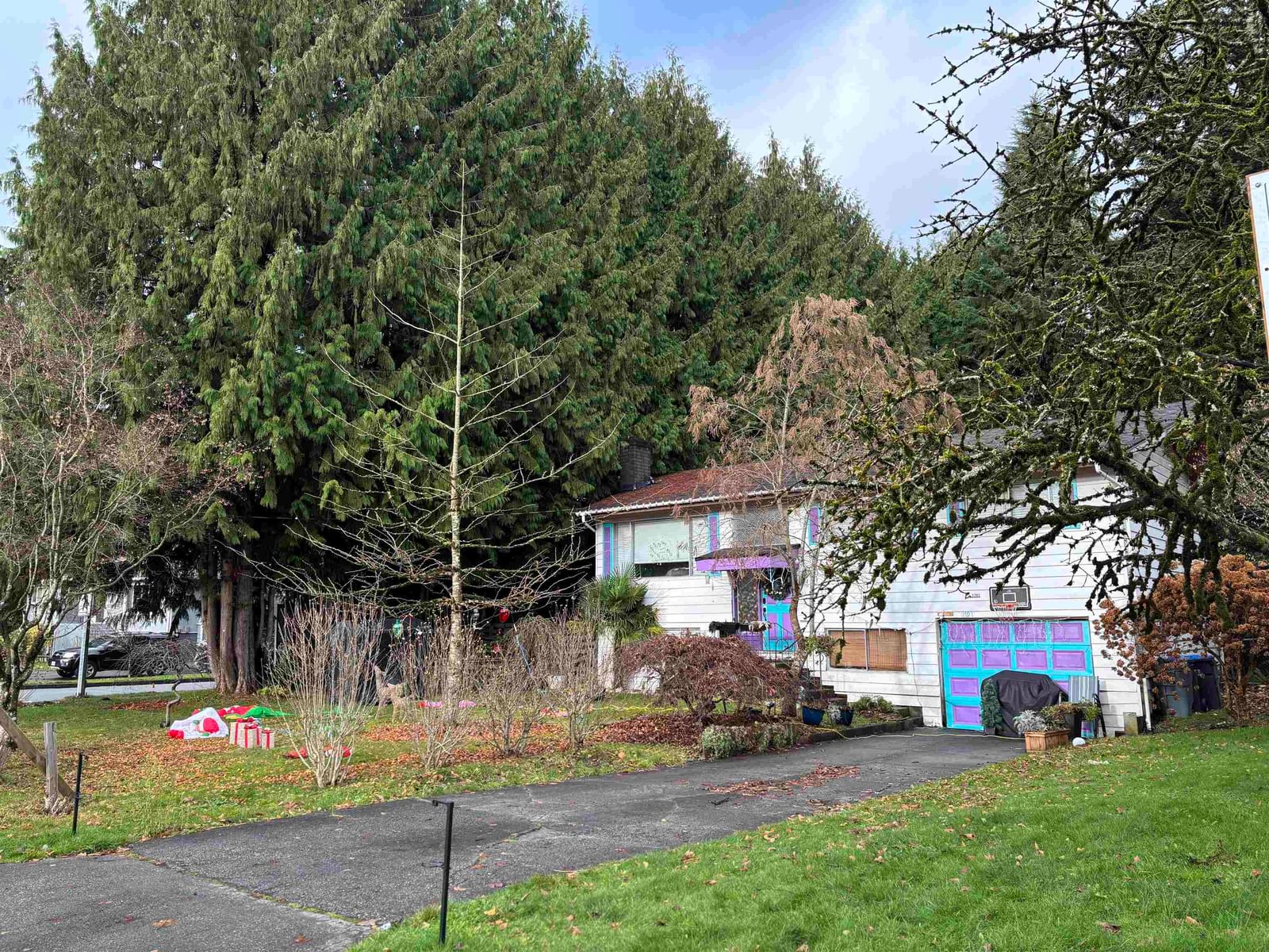 Listing Image 5