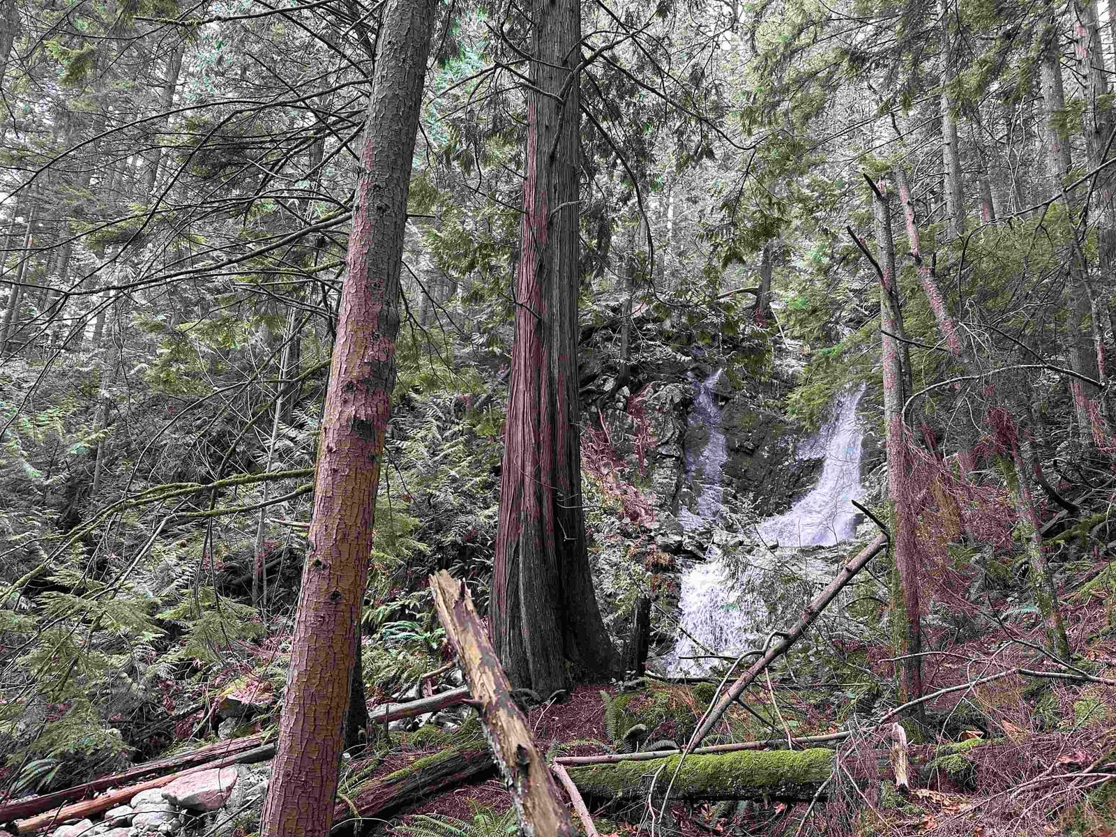 Listing Image 6