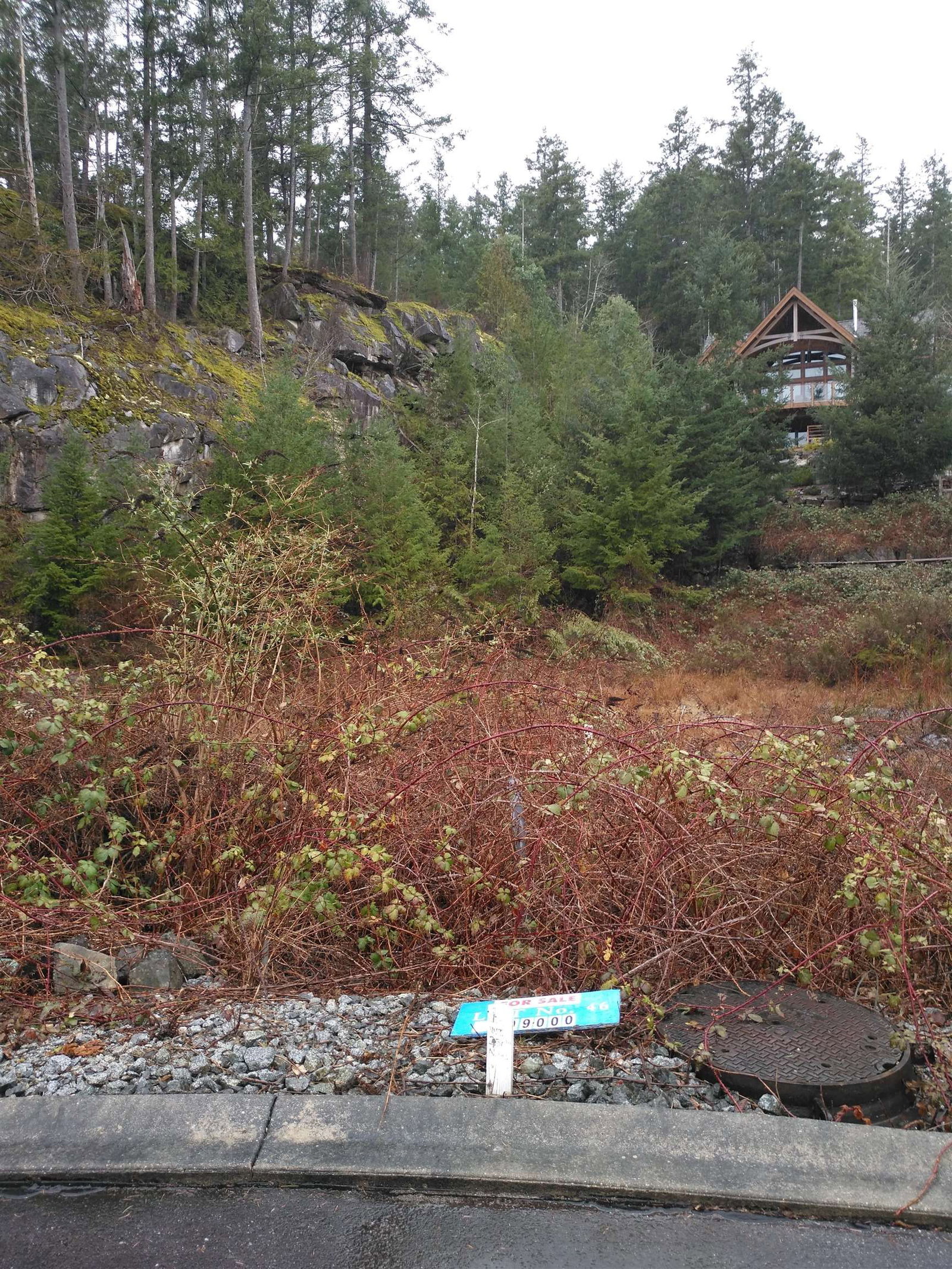 Listing Image 8