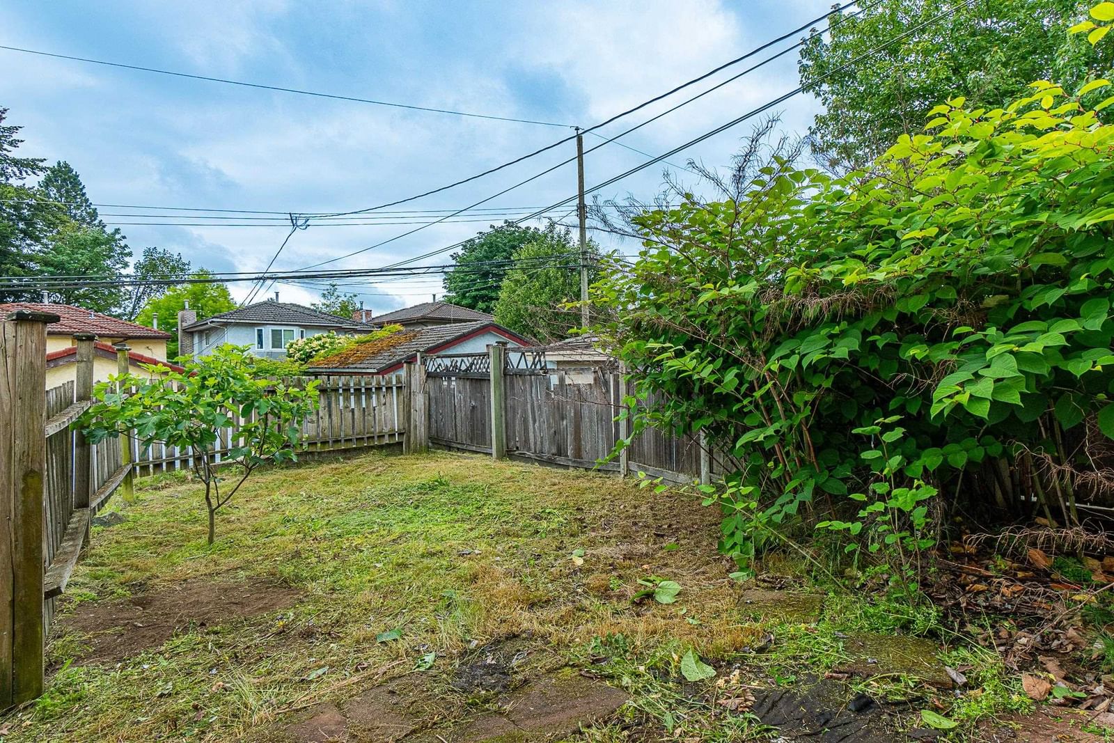 Listing Image 25