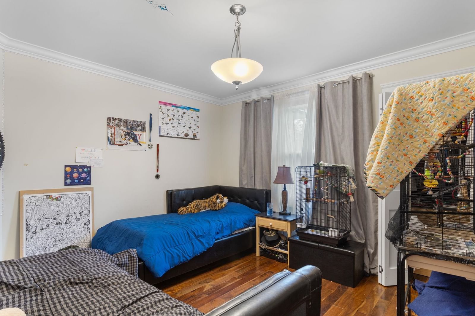 Listing Image 19