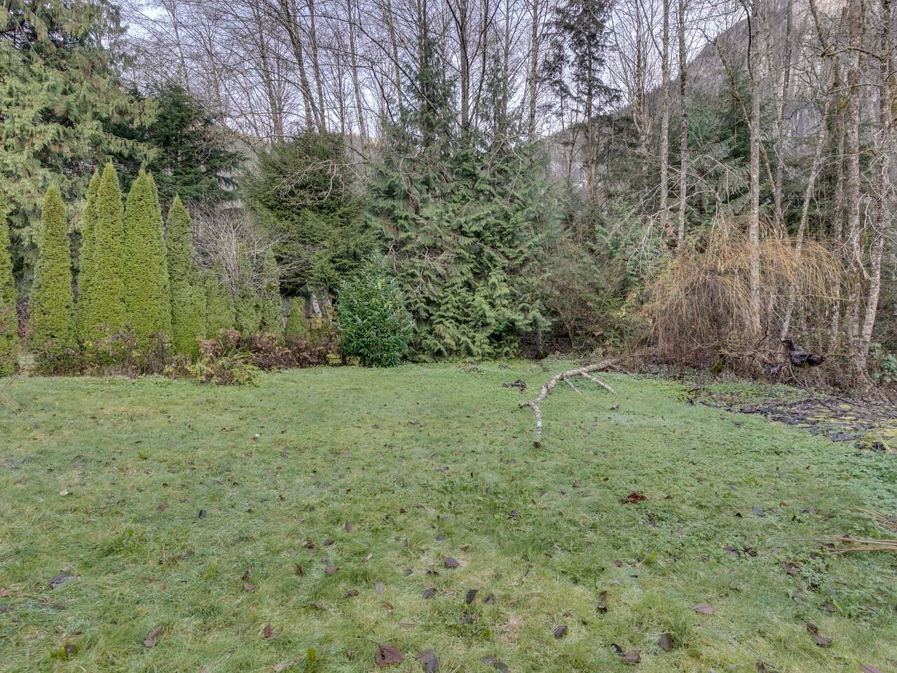 Listing Image 31