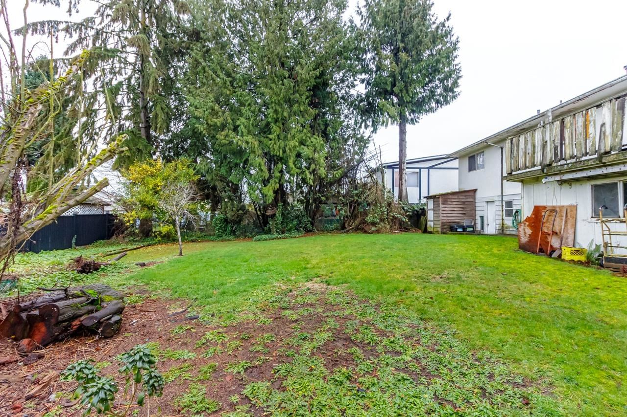 Listing Image 12