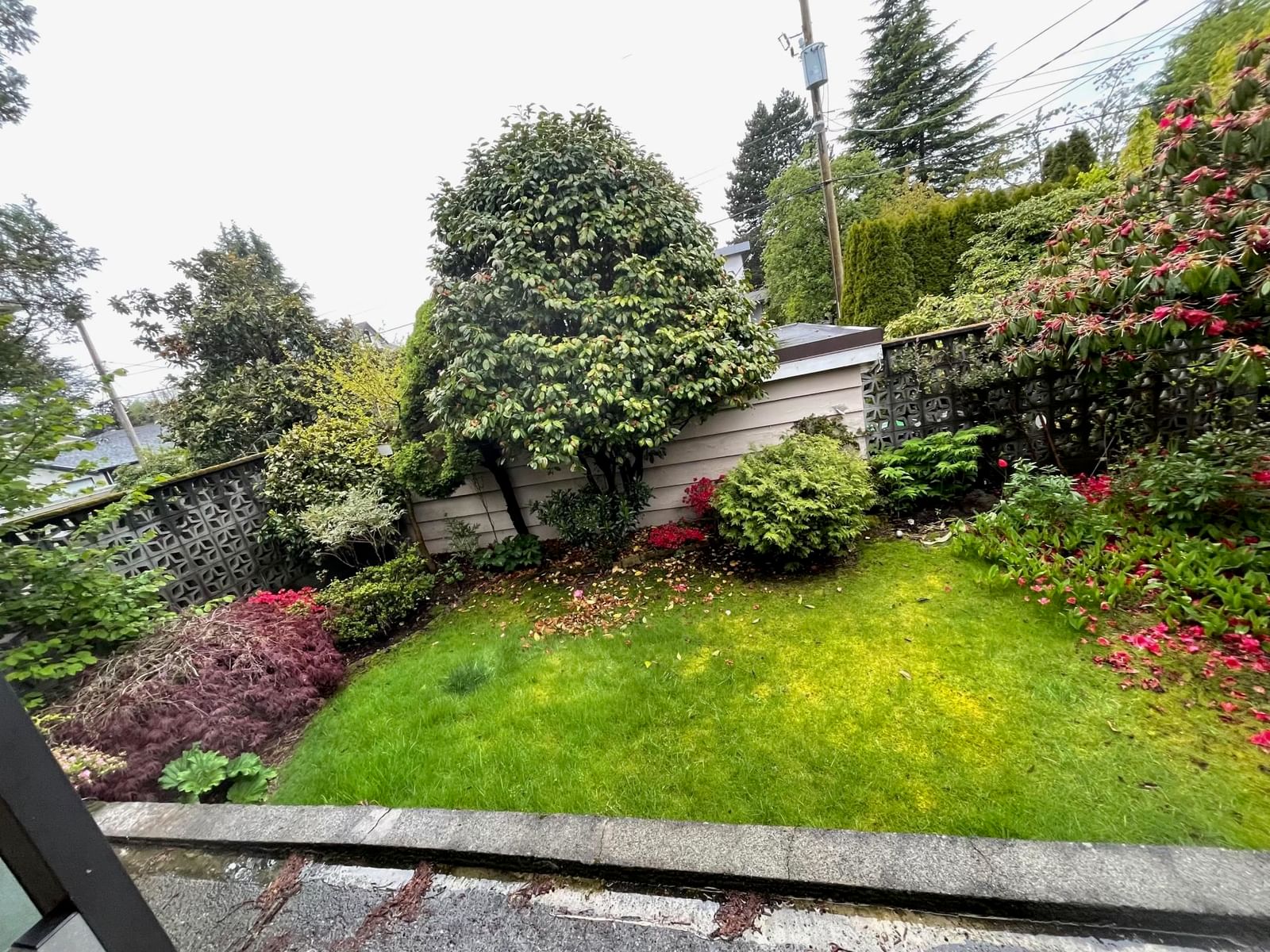 Listing Image 12