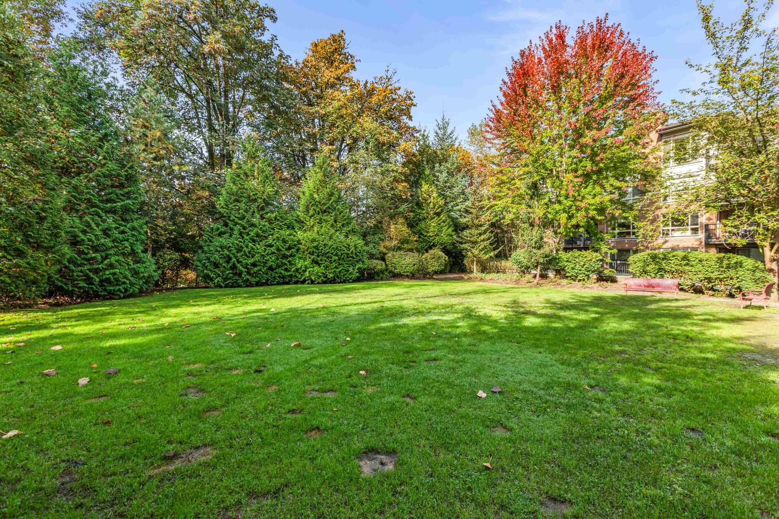 Listing Image 37