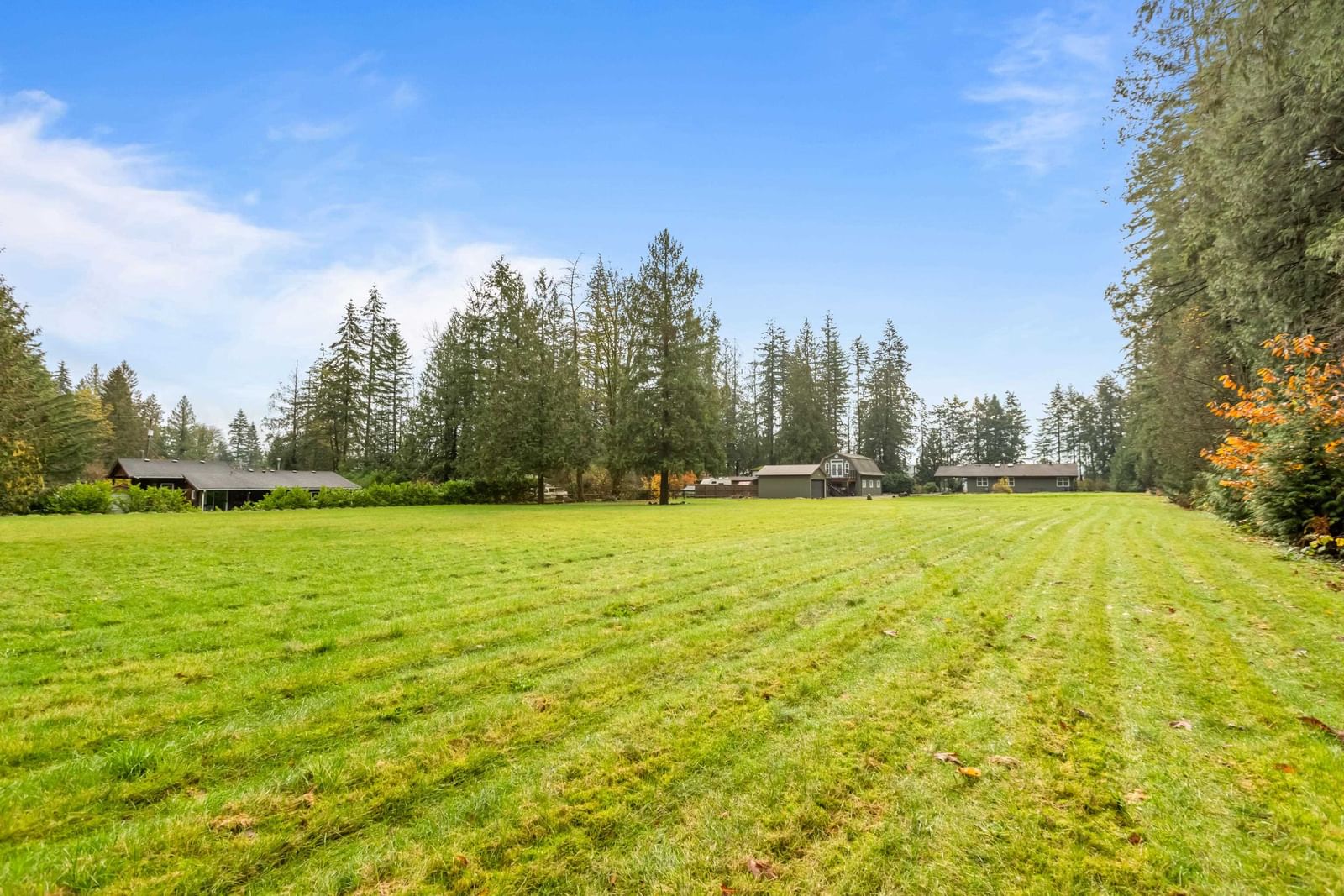 Listing Image 34