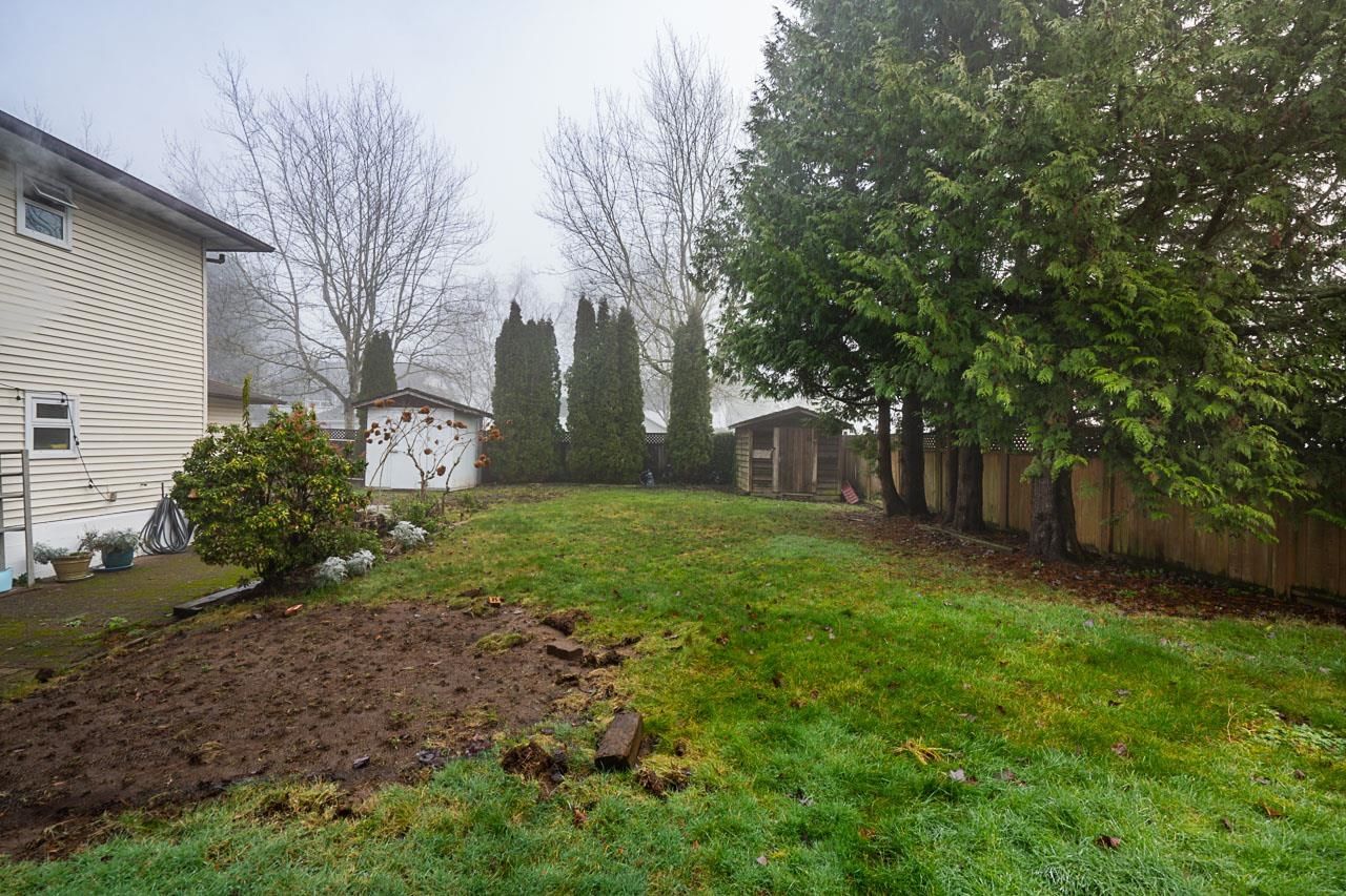 Listing Image 5