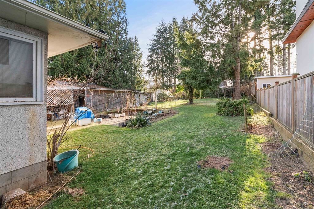Listing Image 11