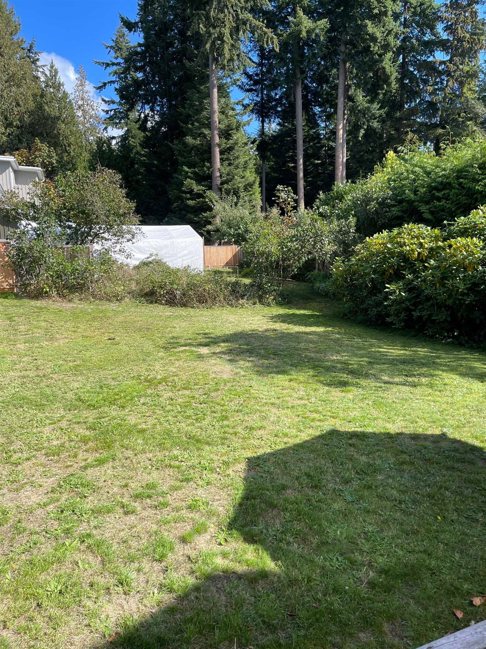 Listing Image 29