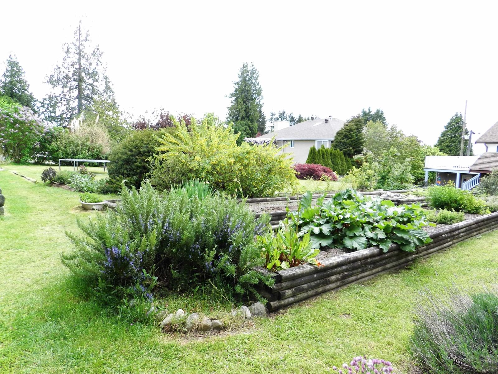 Listing Image 32
