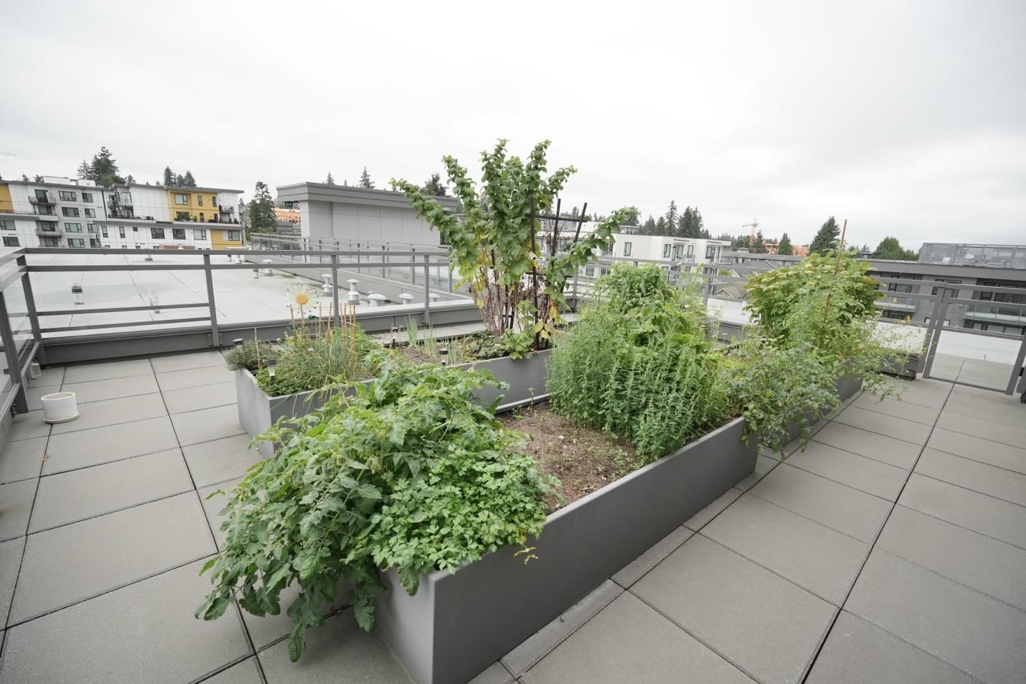 Listing Image 22