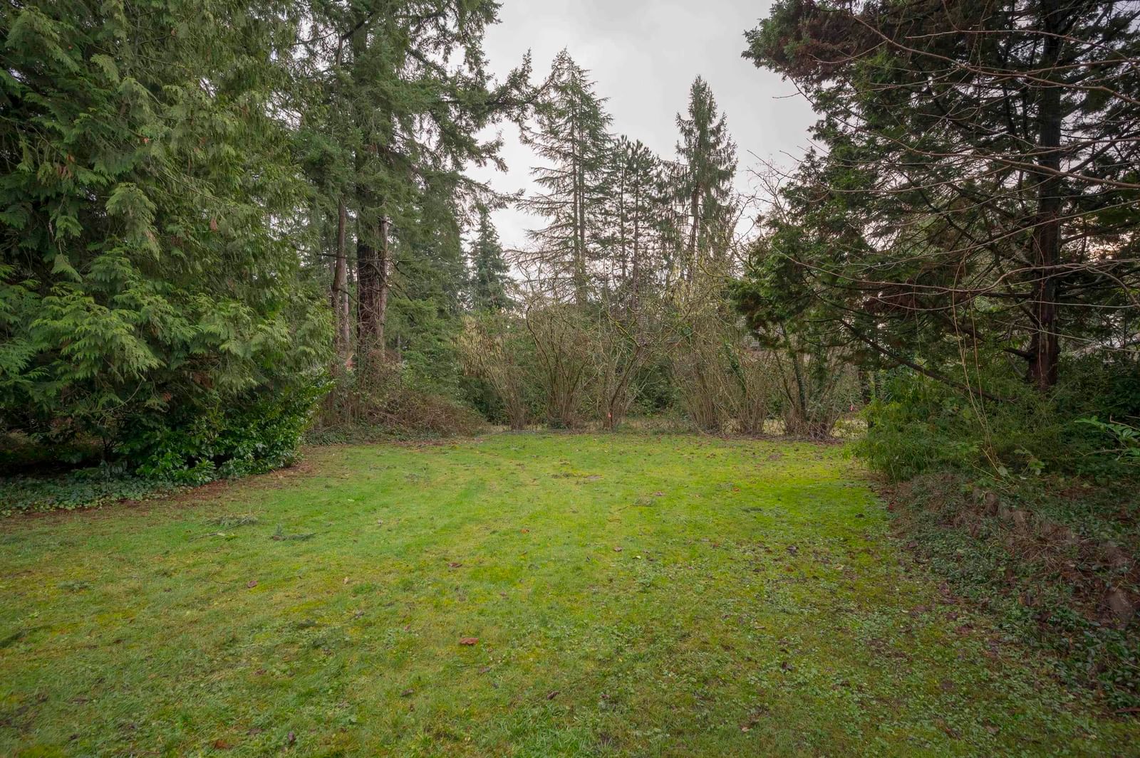 Listing Image 38