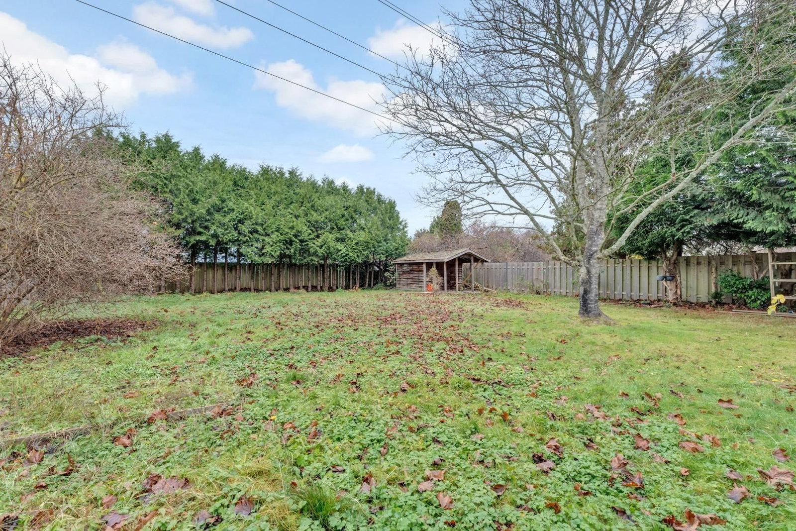 Listing Image 25