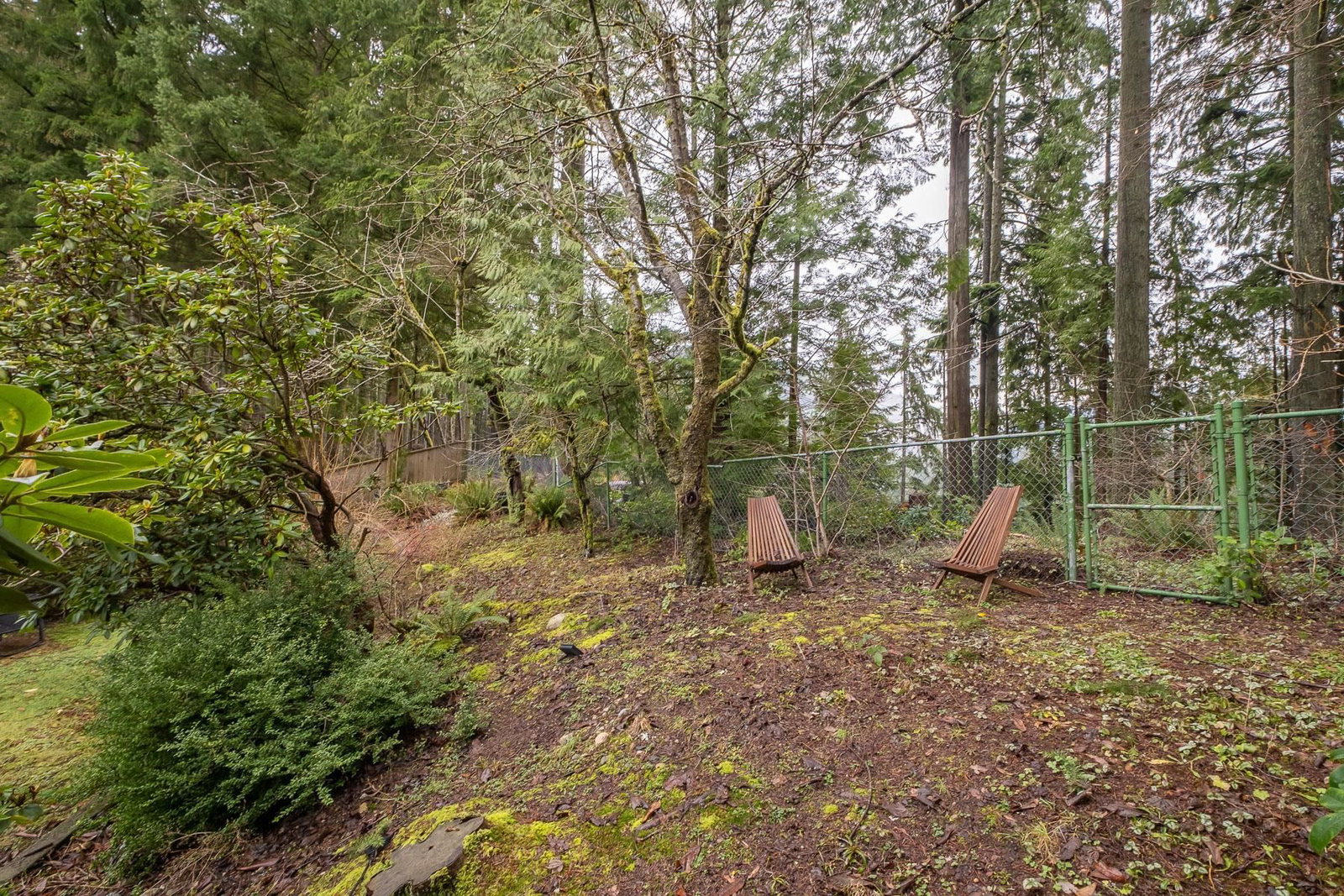 Listing Image 33
