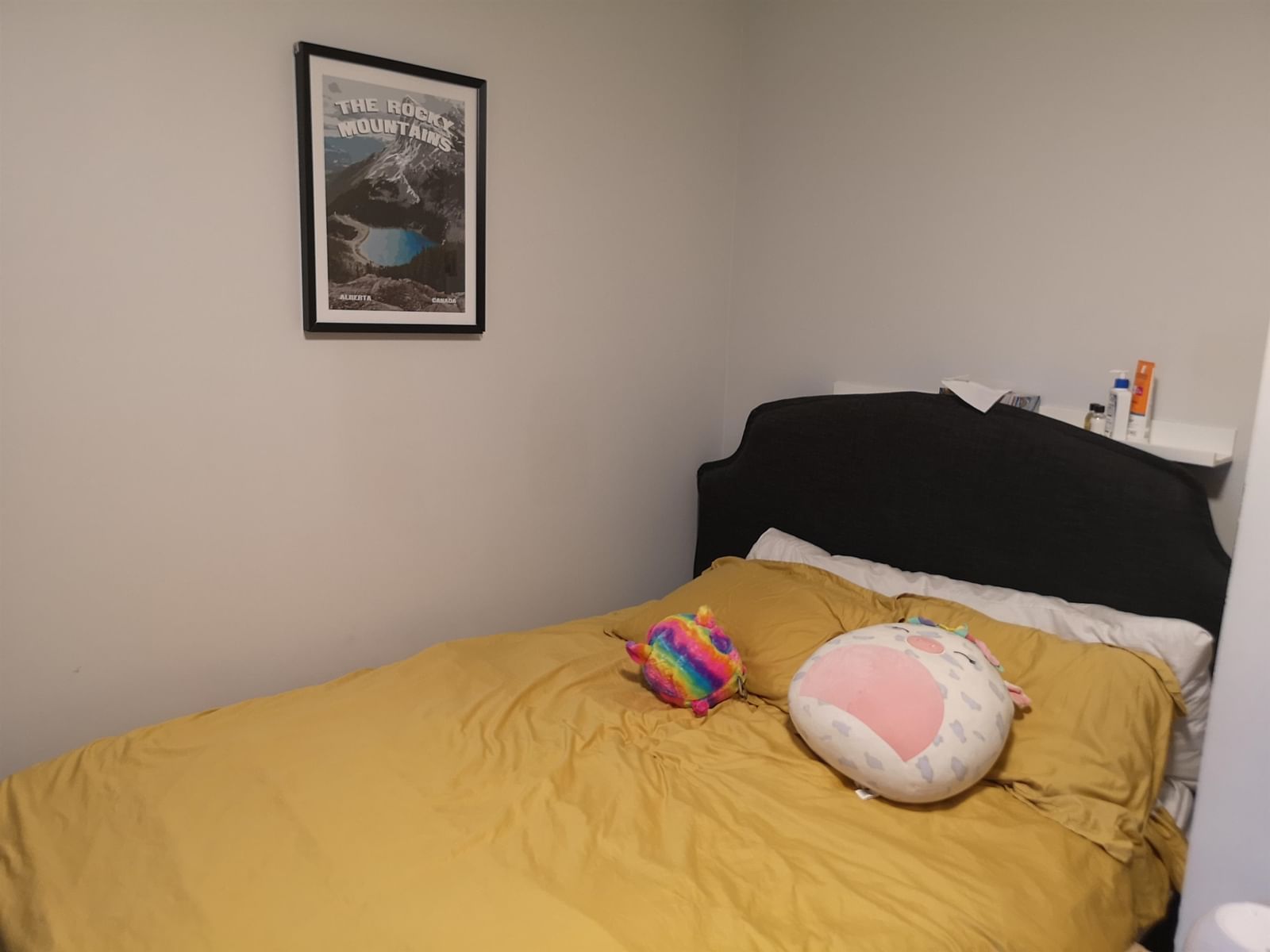 Listing Image 21