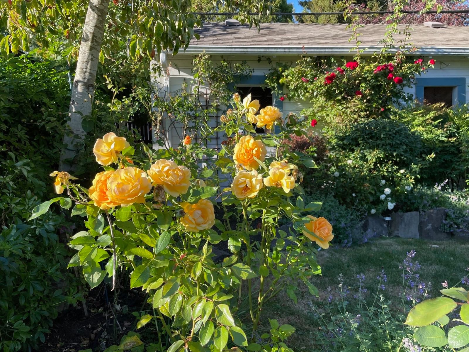 Listing Image 34