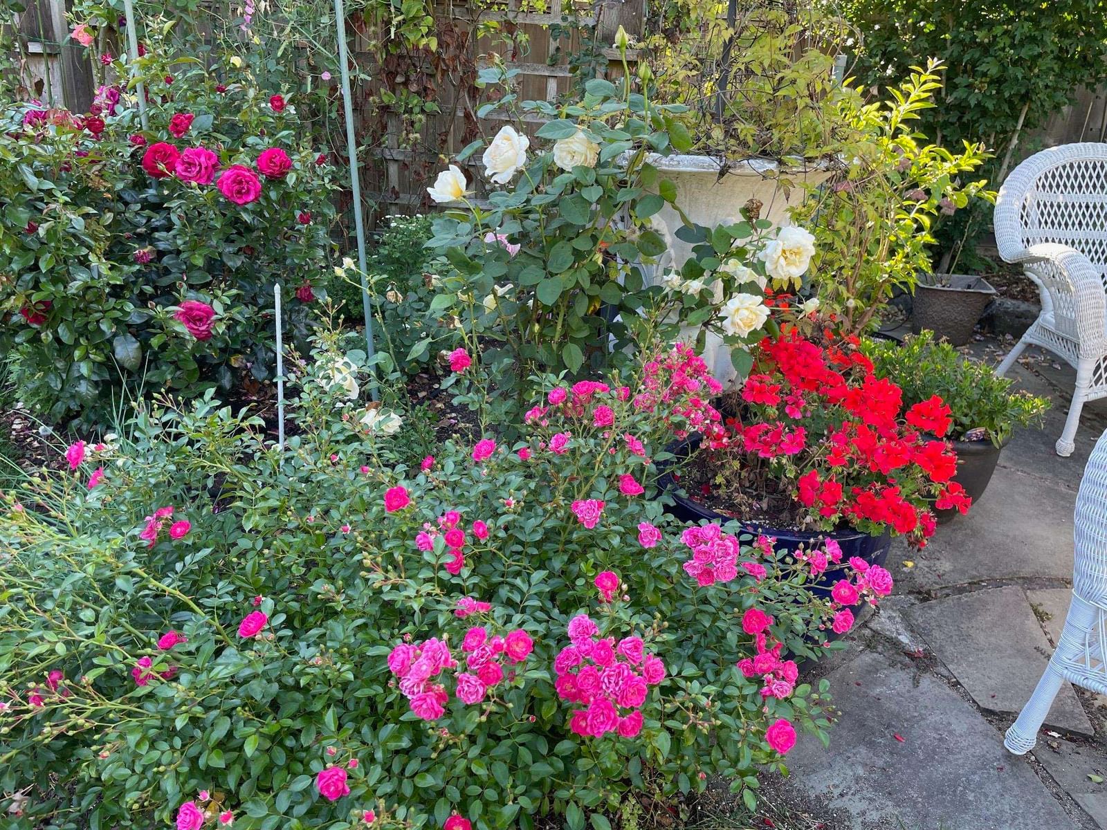 Listing Image 35