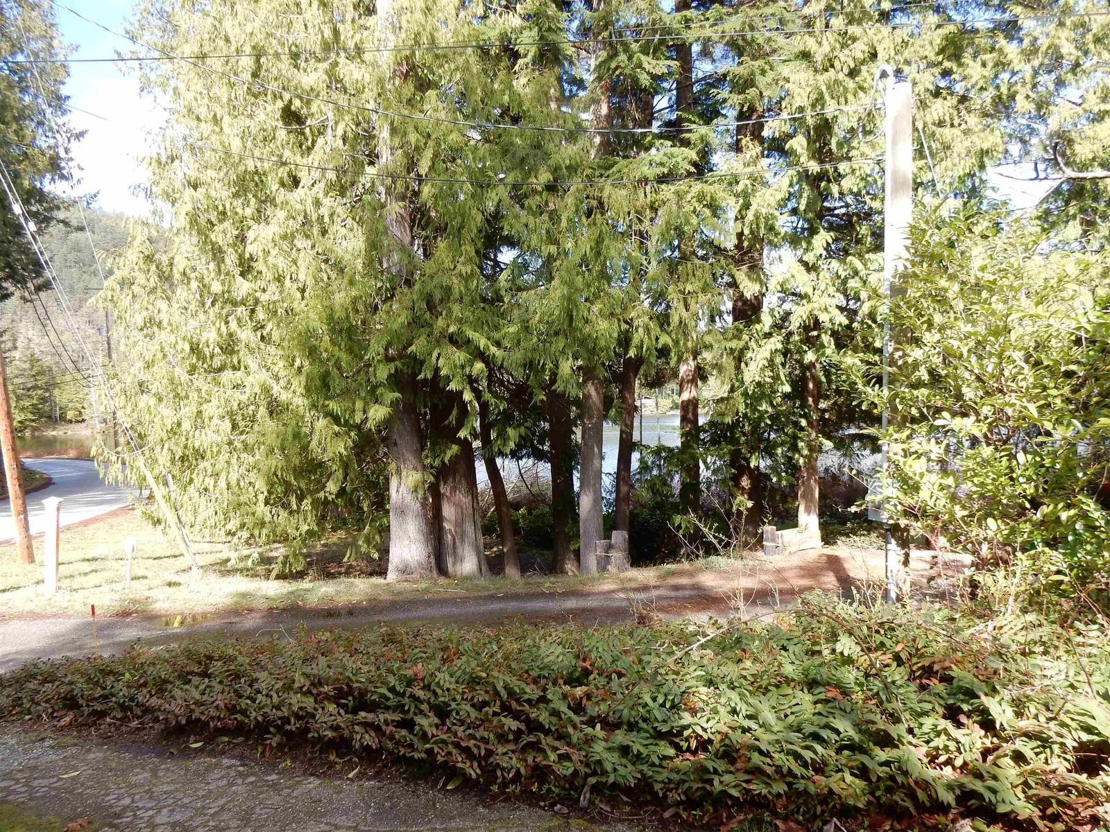 Listing Image 33