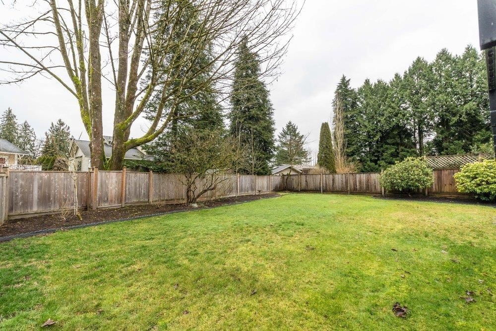 Listing Image 31
