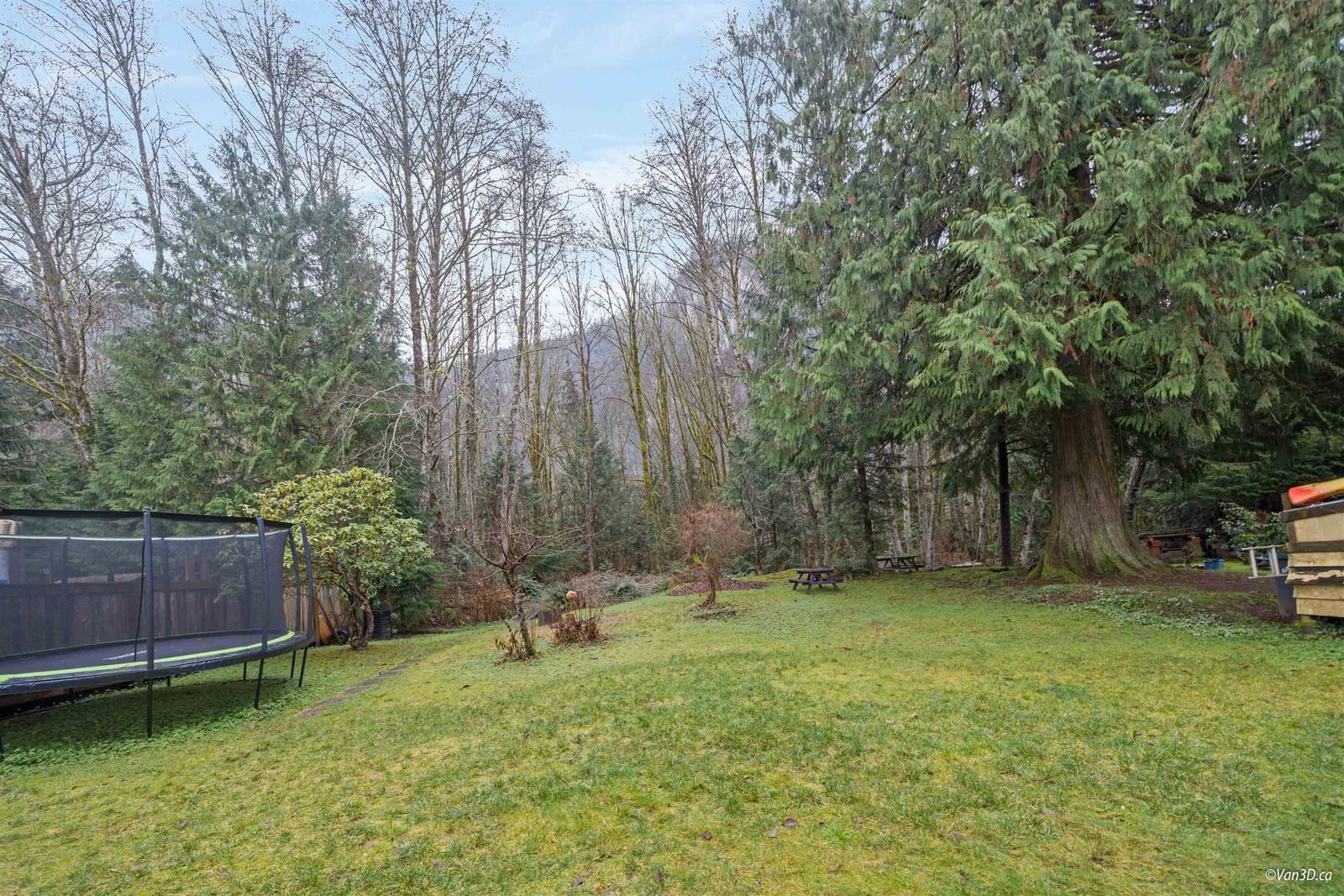 Listing Image 36