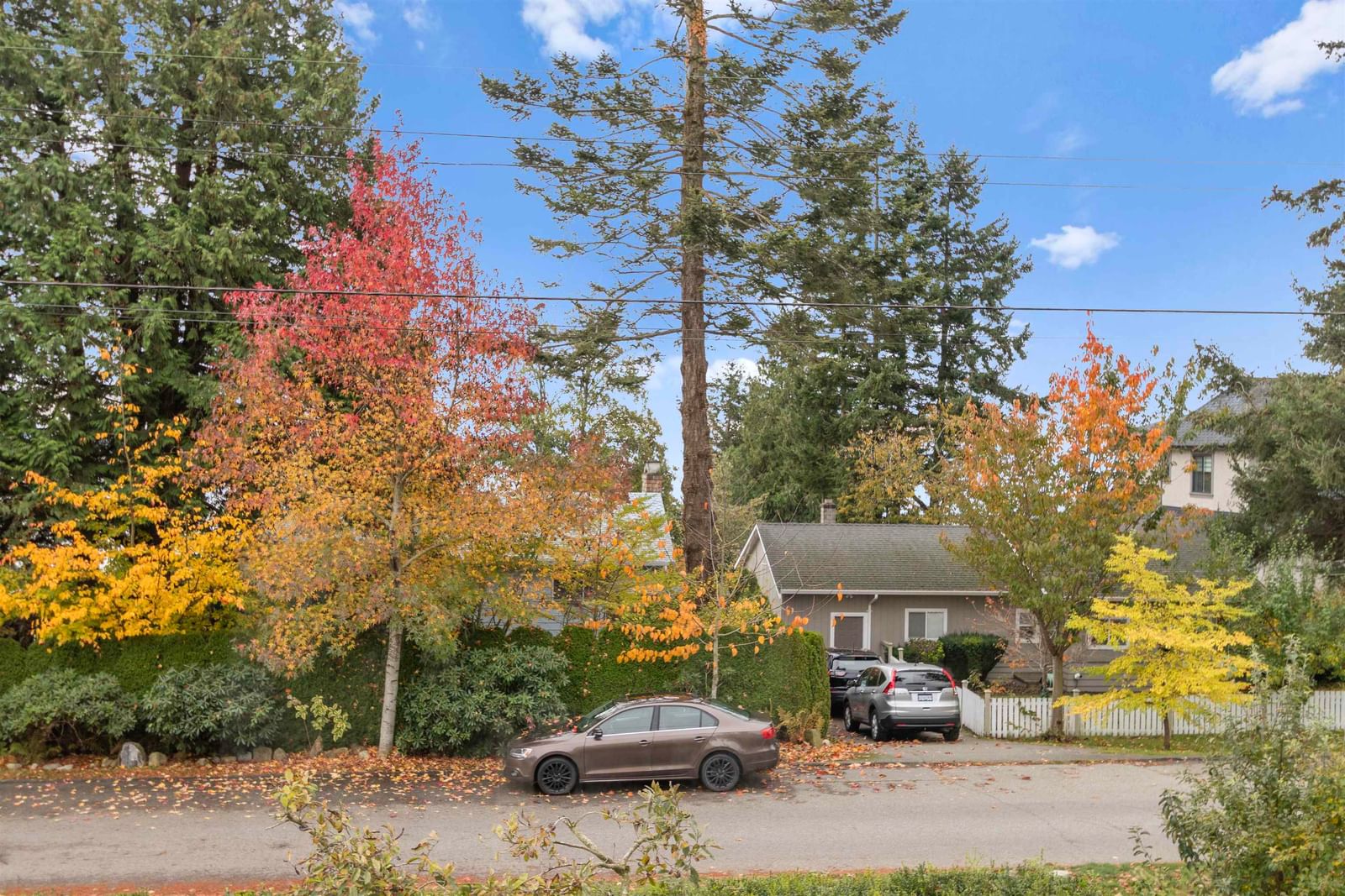 Listing Image 33