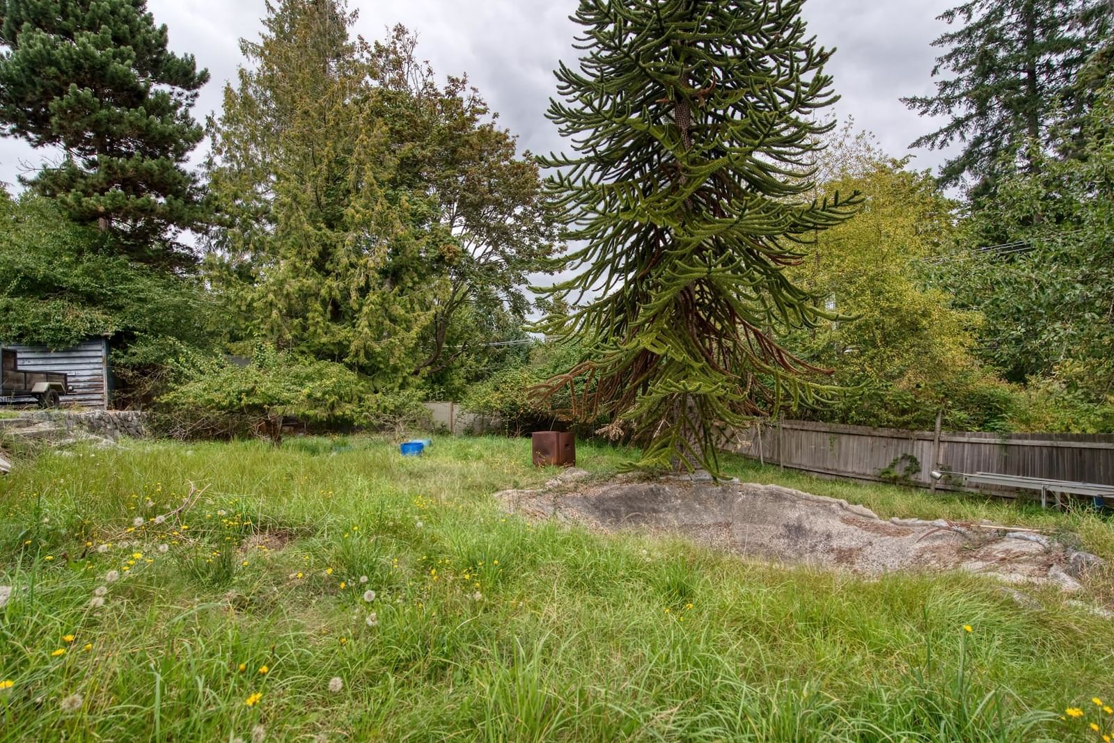 Listing Image 20