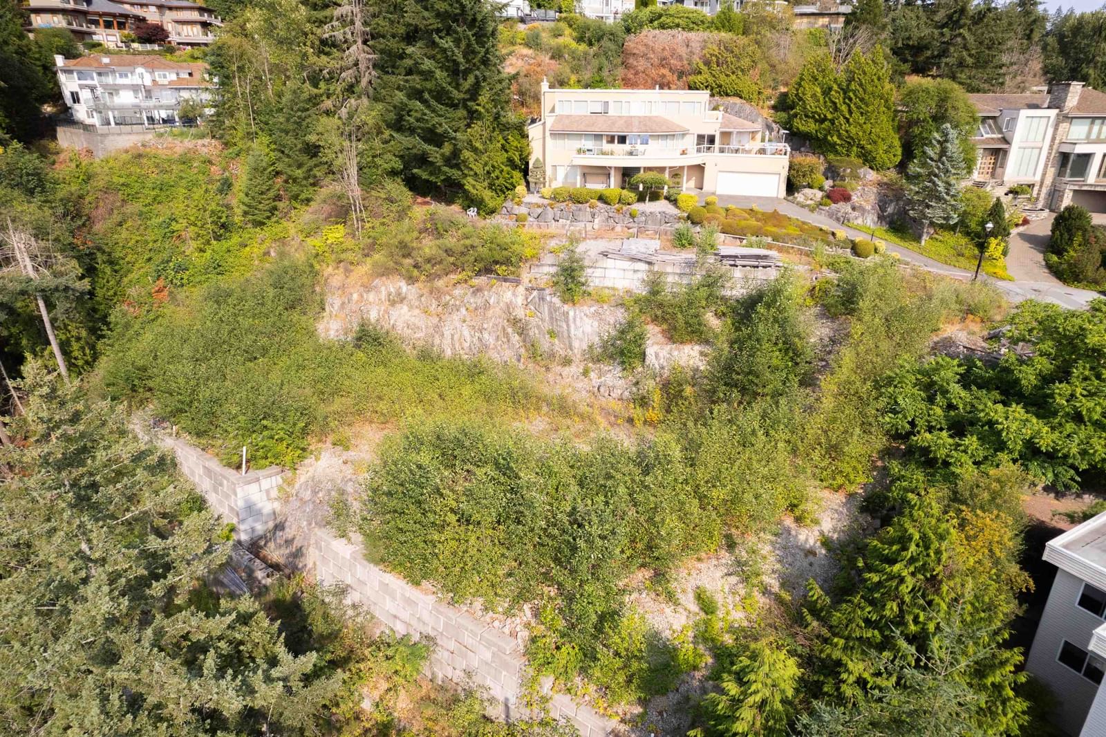 Listing Image 39