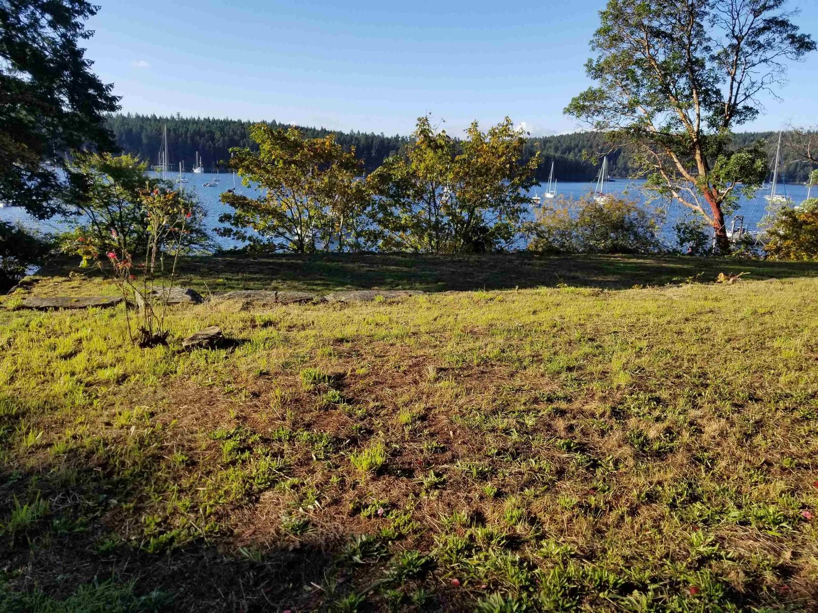 Listing Image 24