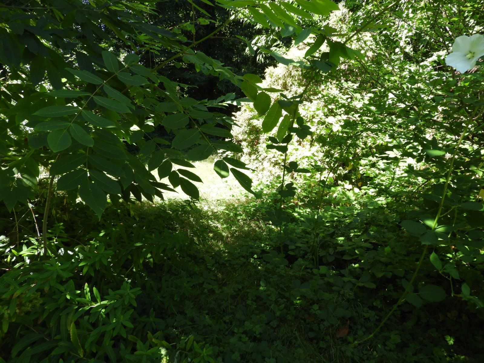 Listing Image 28