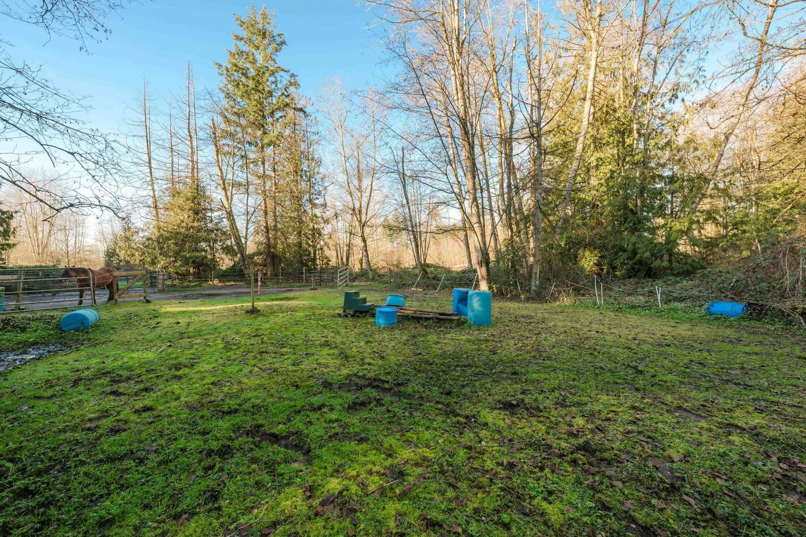 Listing Image 25